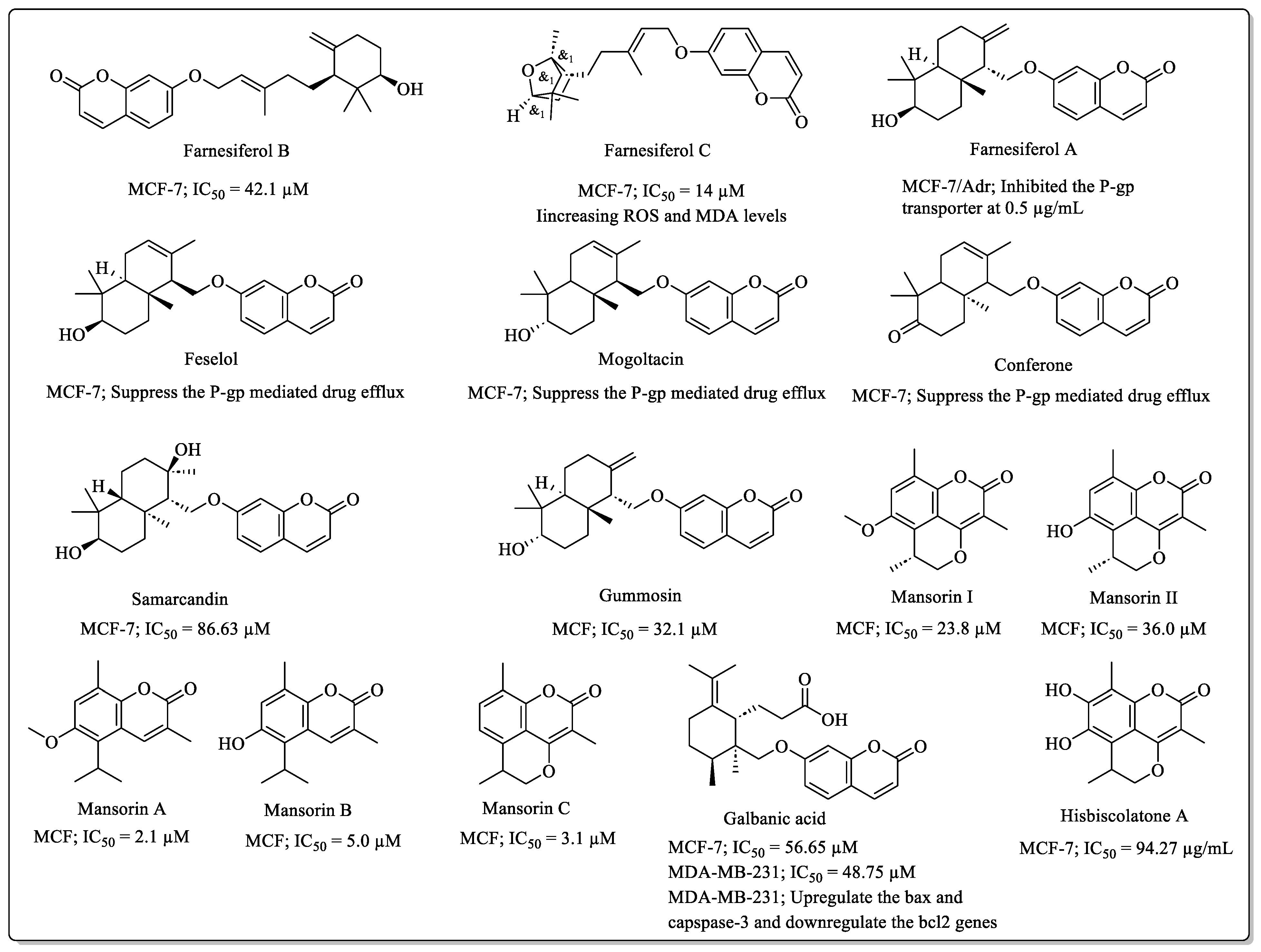 Biomedicines 12 01192 g003