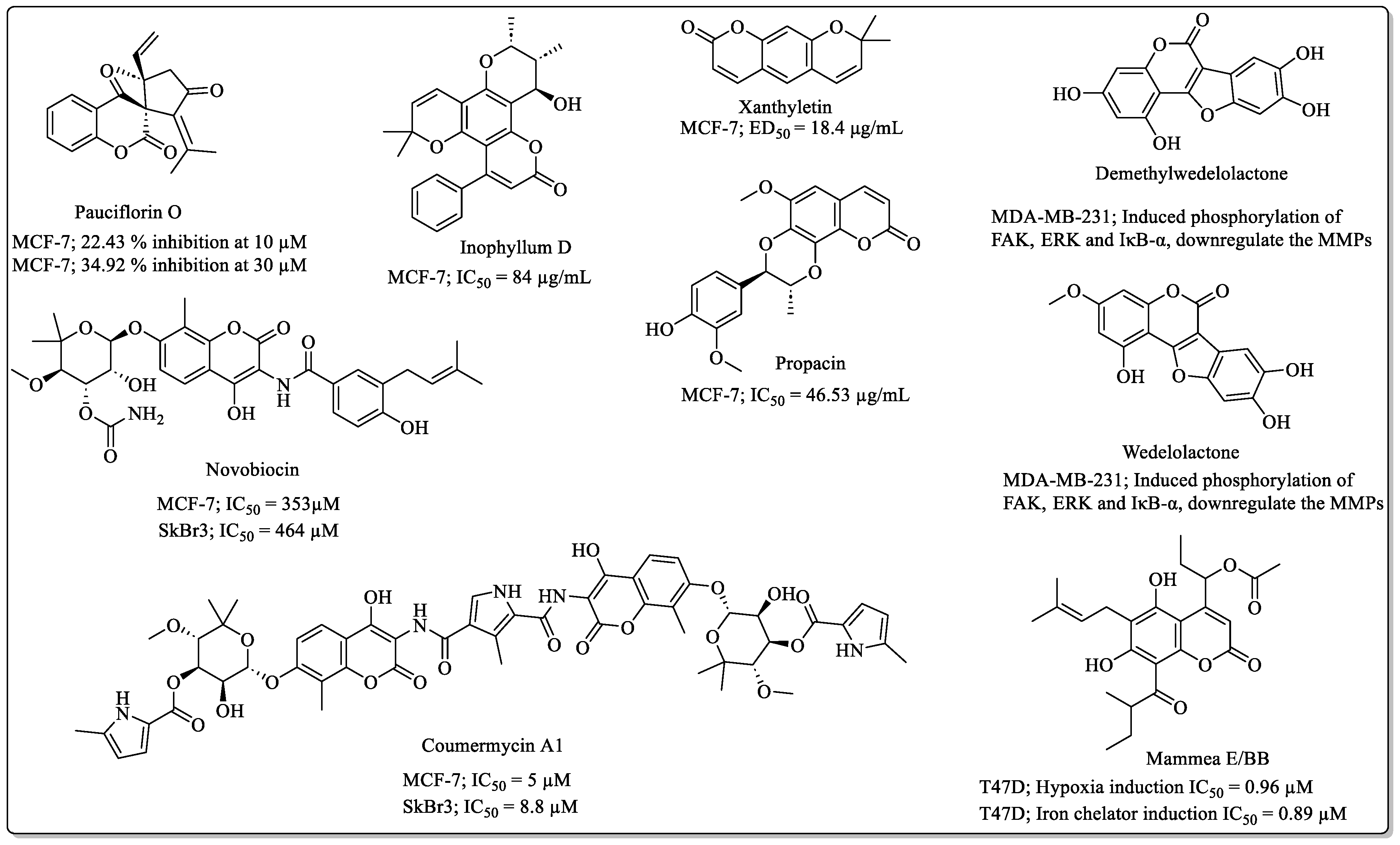 Biomedicines 12 01192 g004