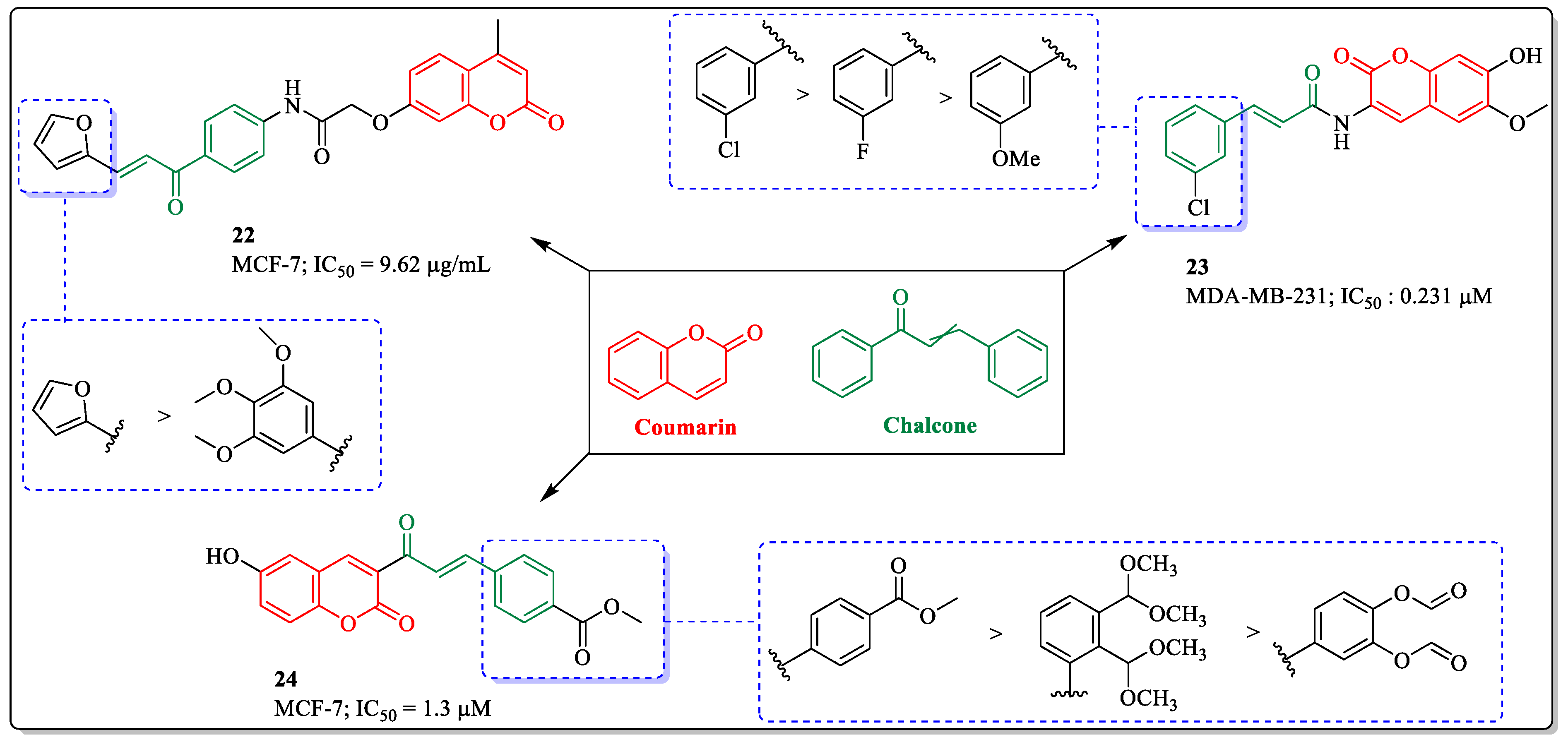 Biomedicines 12 01192 g010