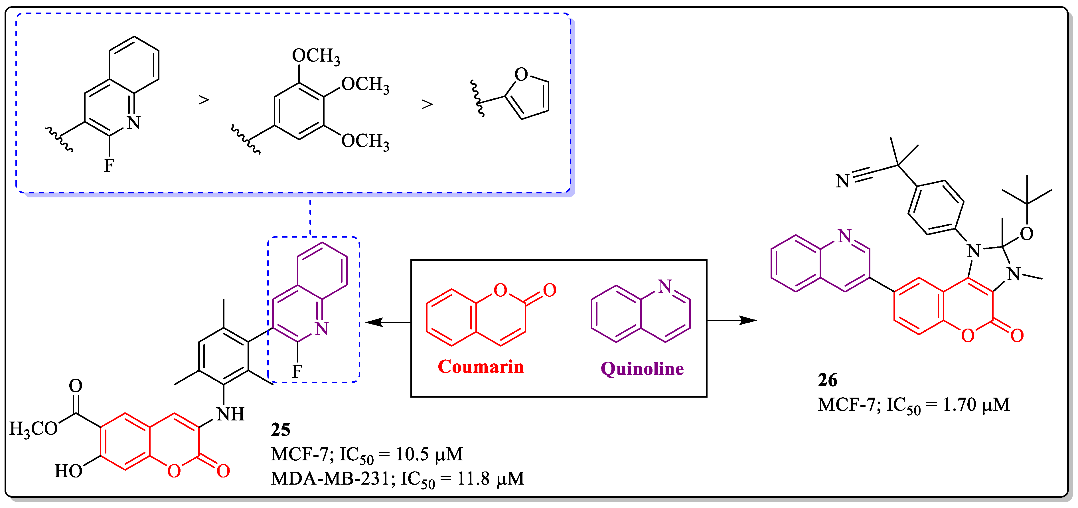 Biomedicines 12 01192 g011