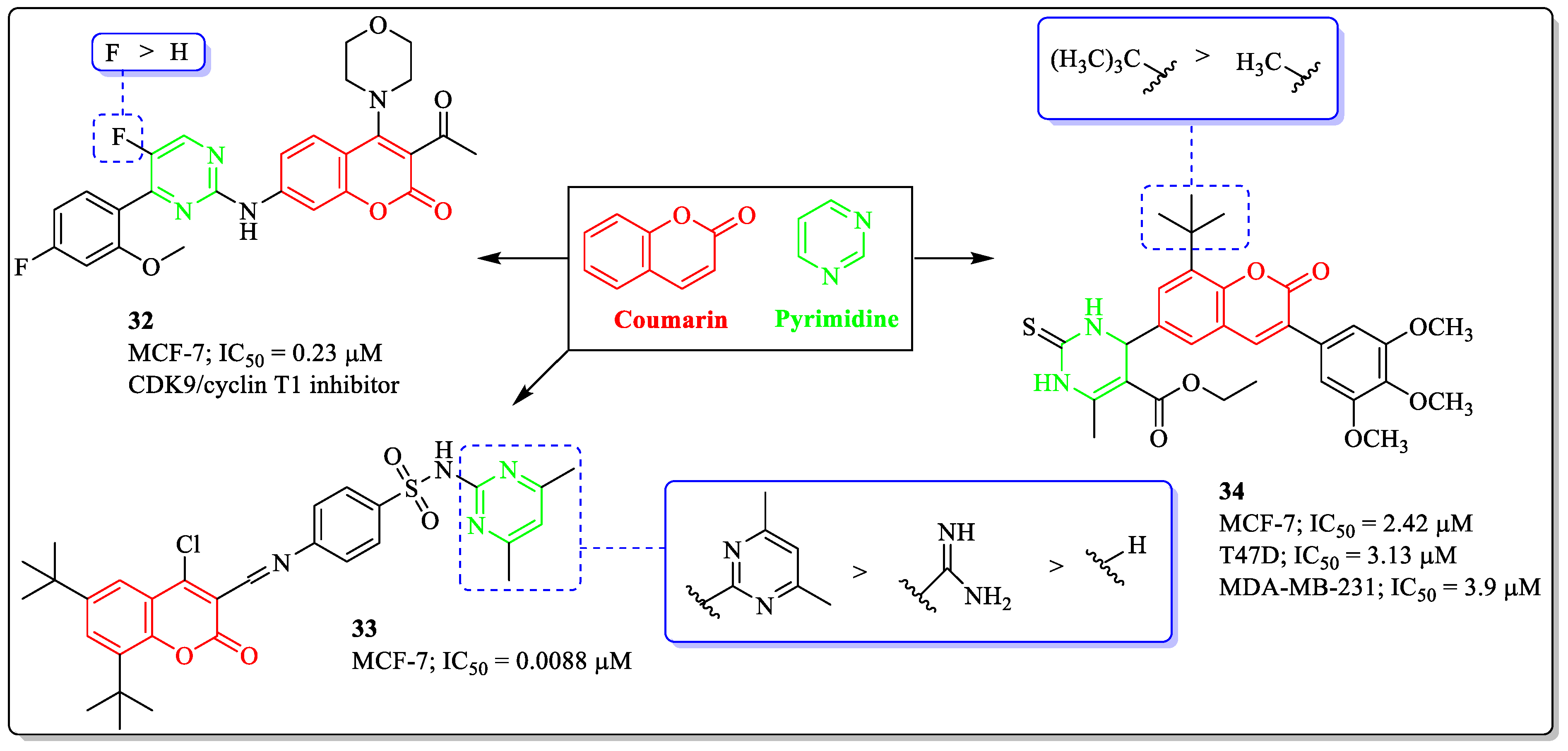 Biomedicines 12 01192 g013