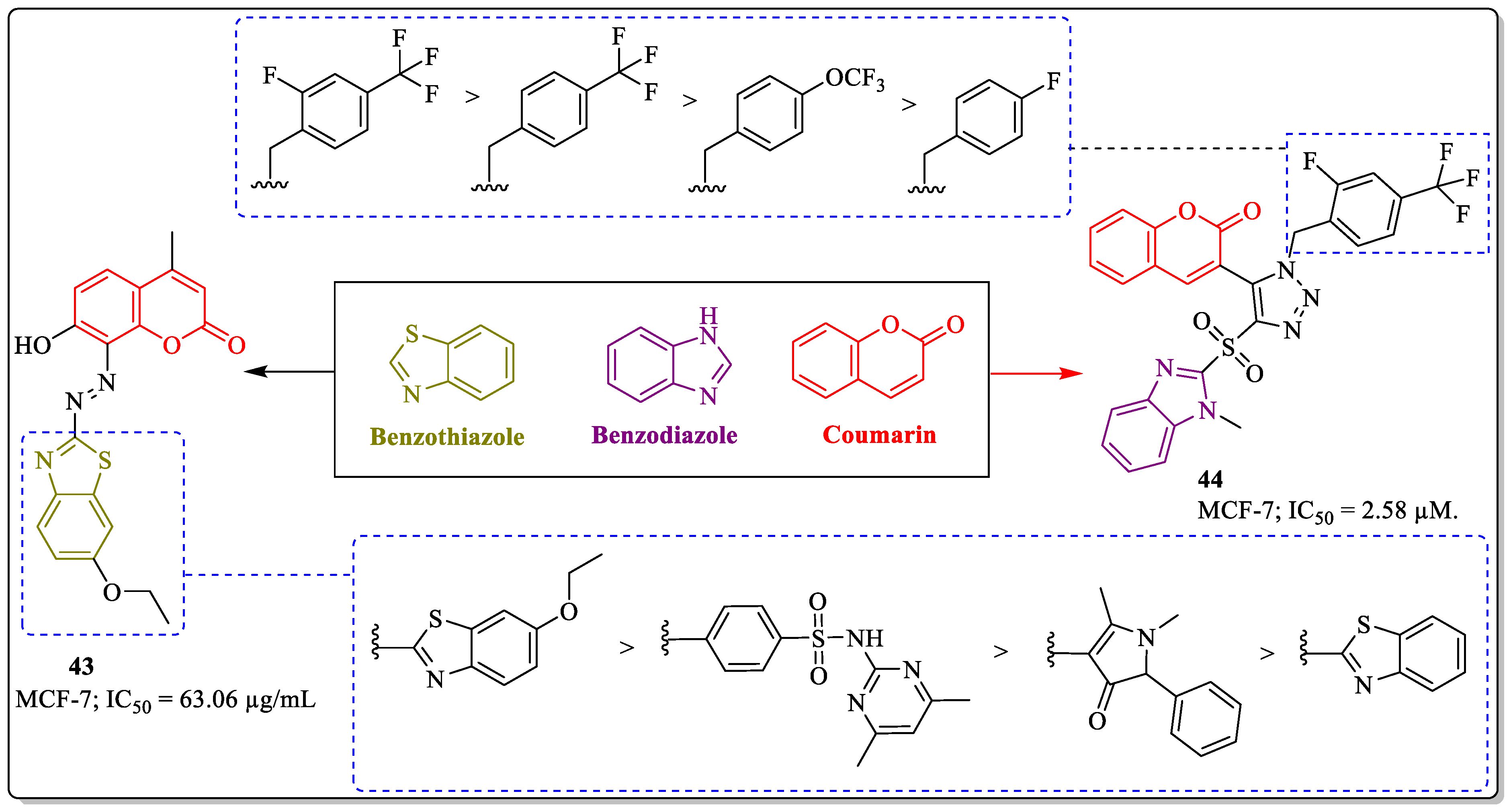 Biomedicines 12 01192 g016