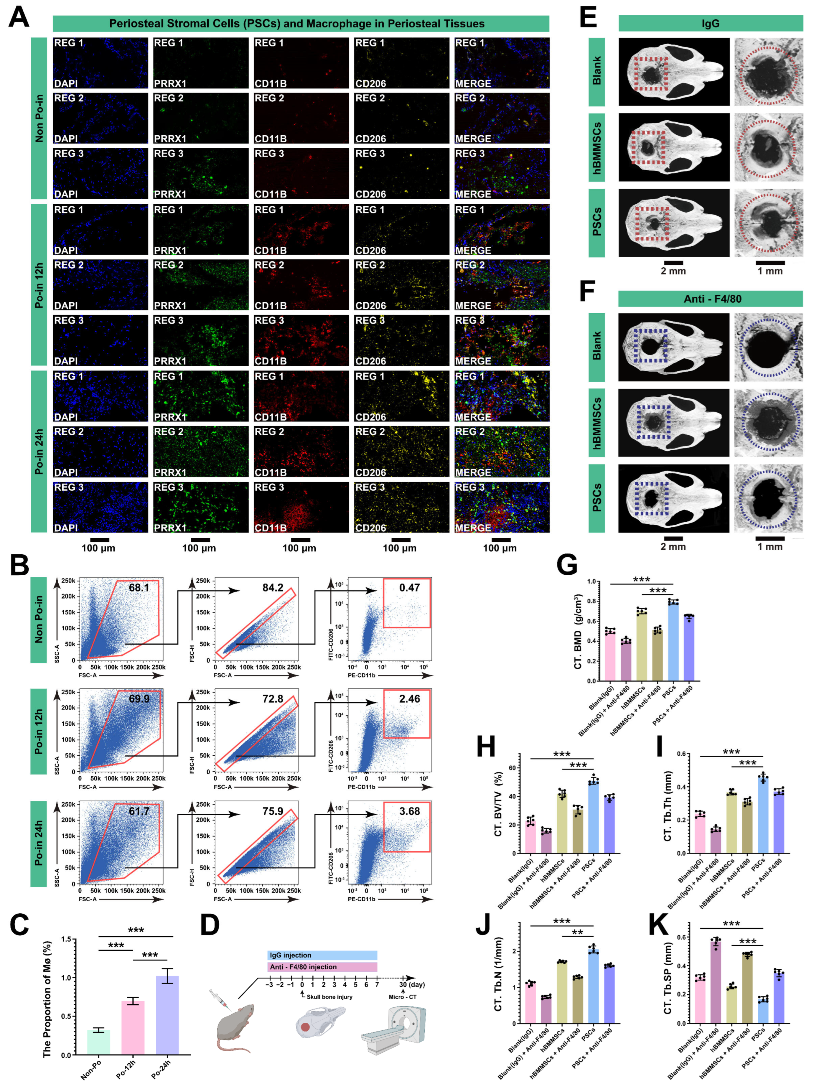 Biomedicines 12 01205 g005