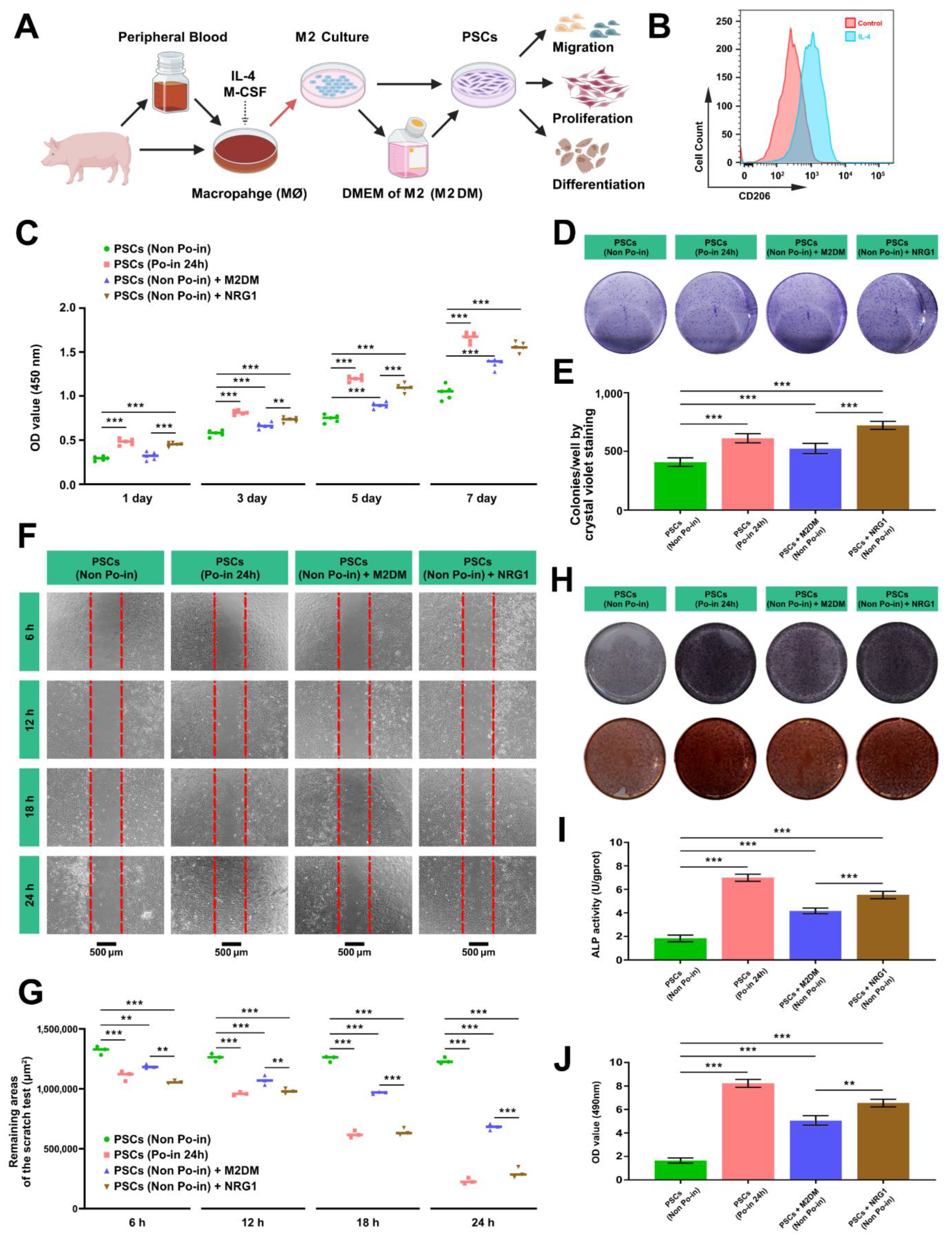 Biomedicines 12 01205 g006