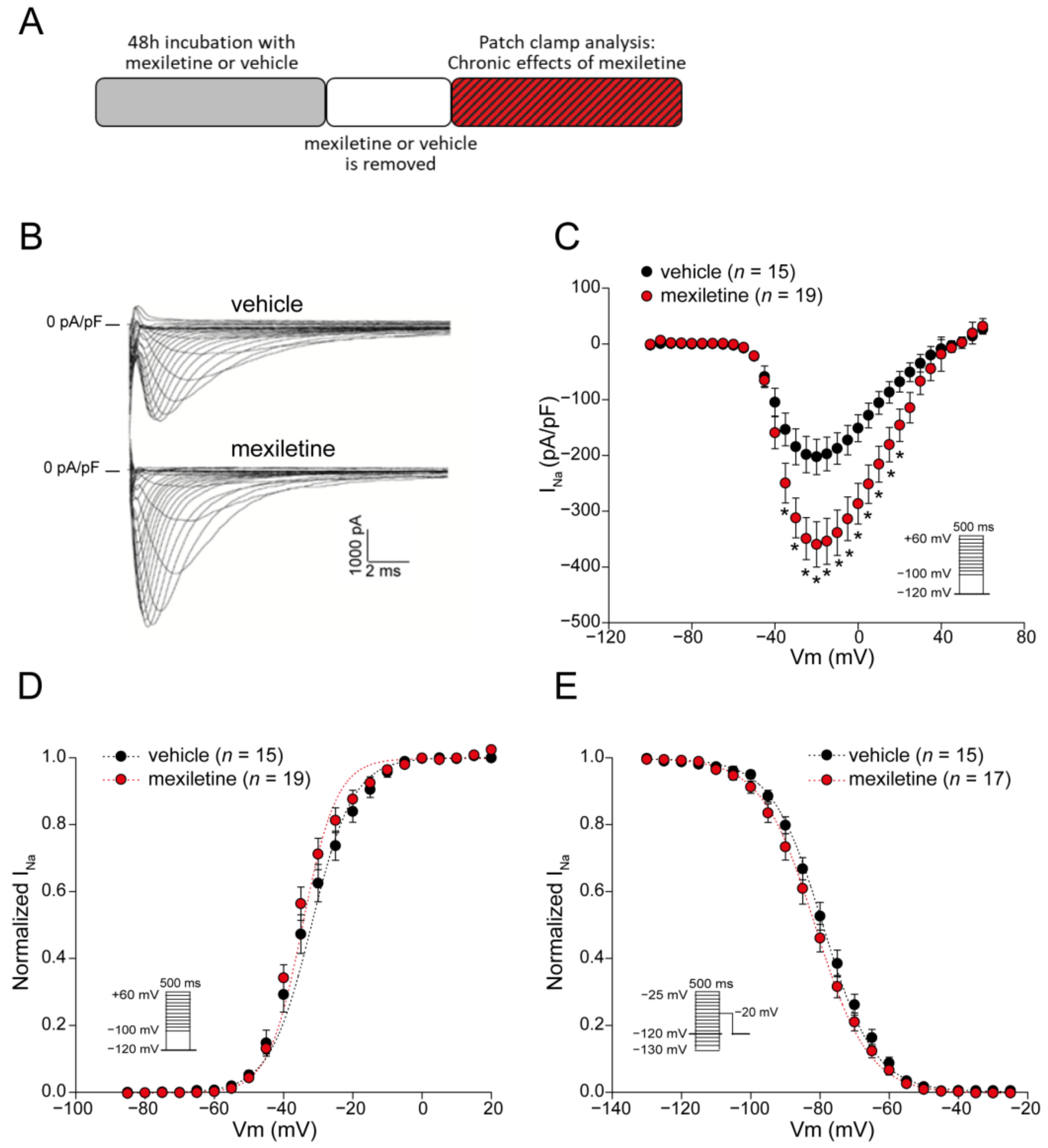 Biomedicines 12 01212 g001