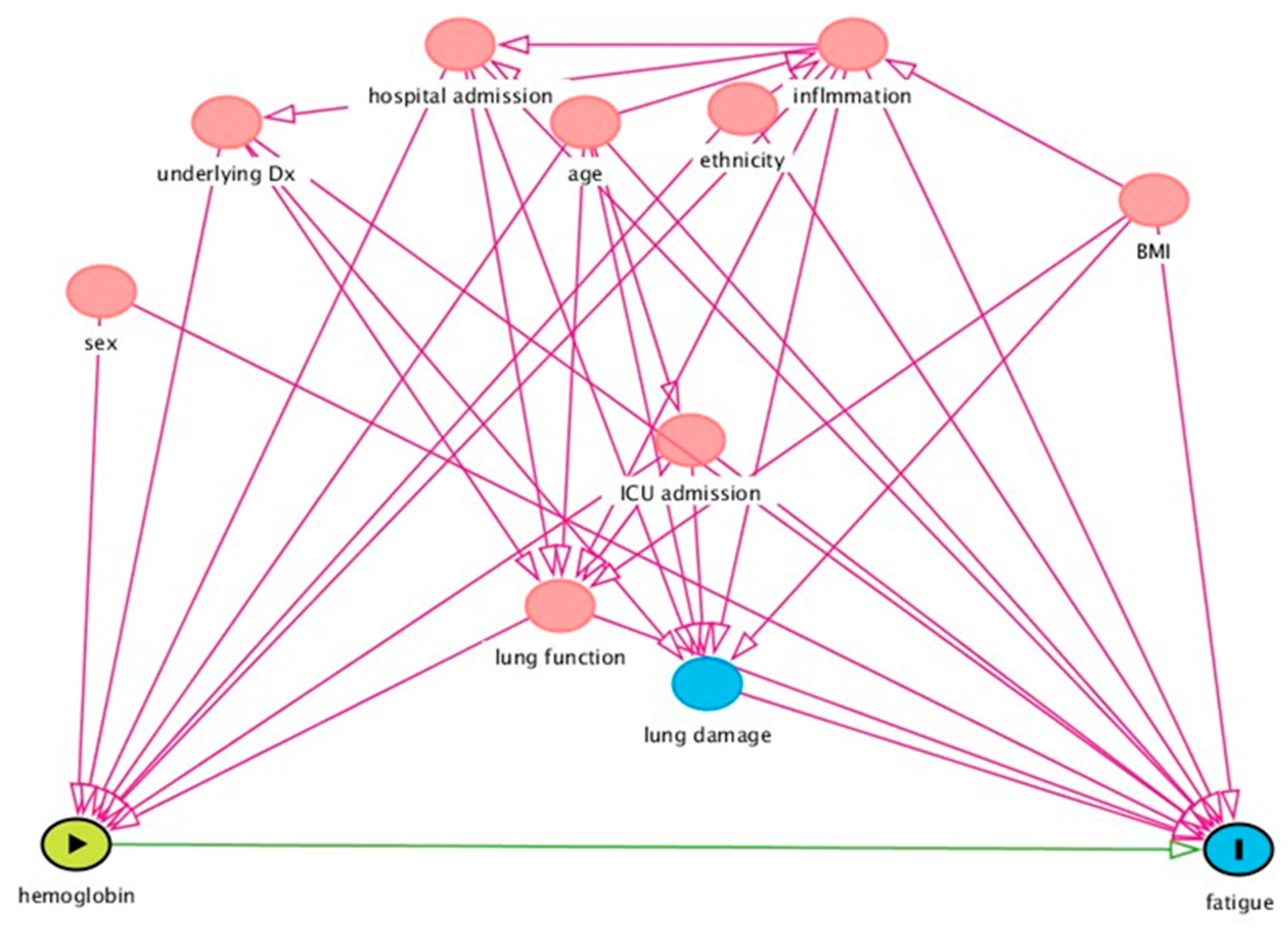 Biomedicines 12 01234 g001