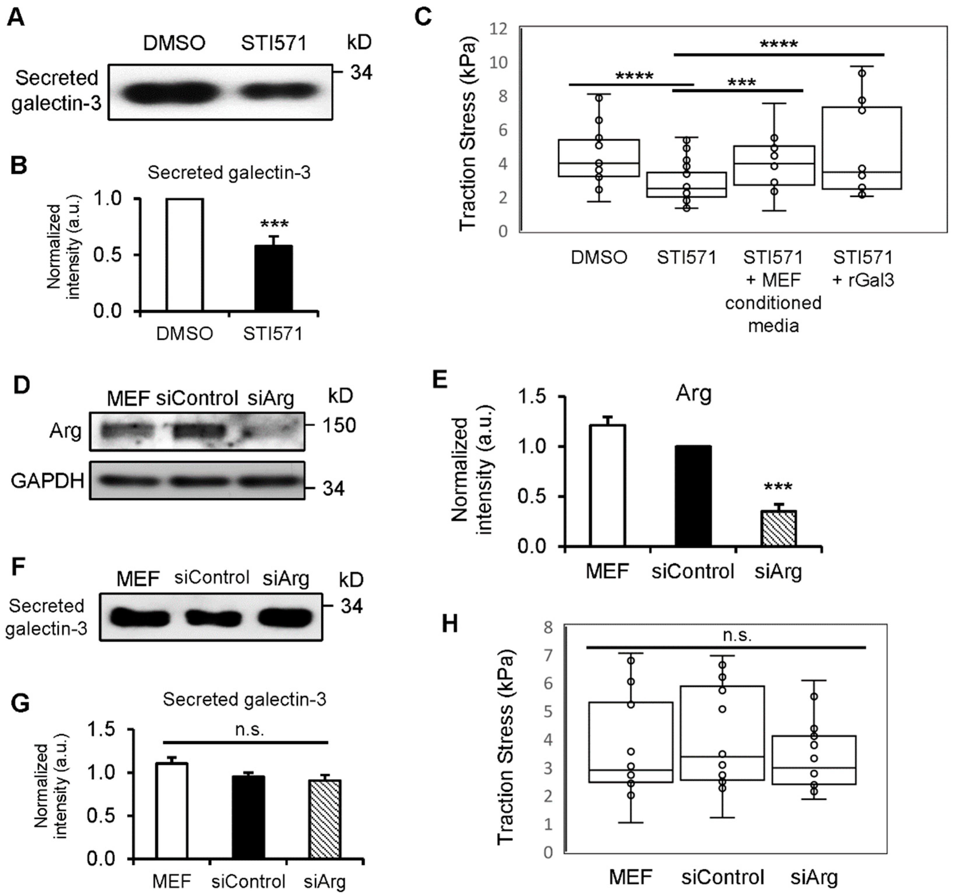 Biomedicines 12 01247 g006