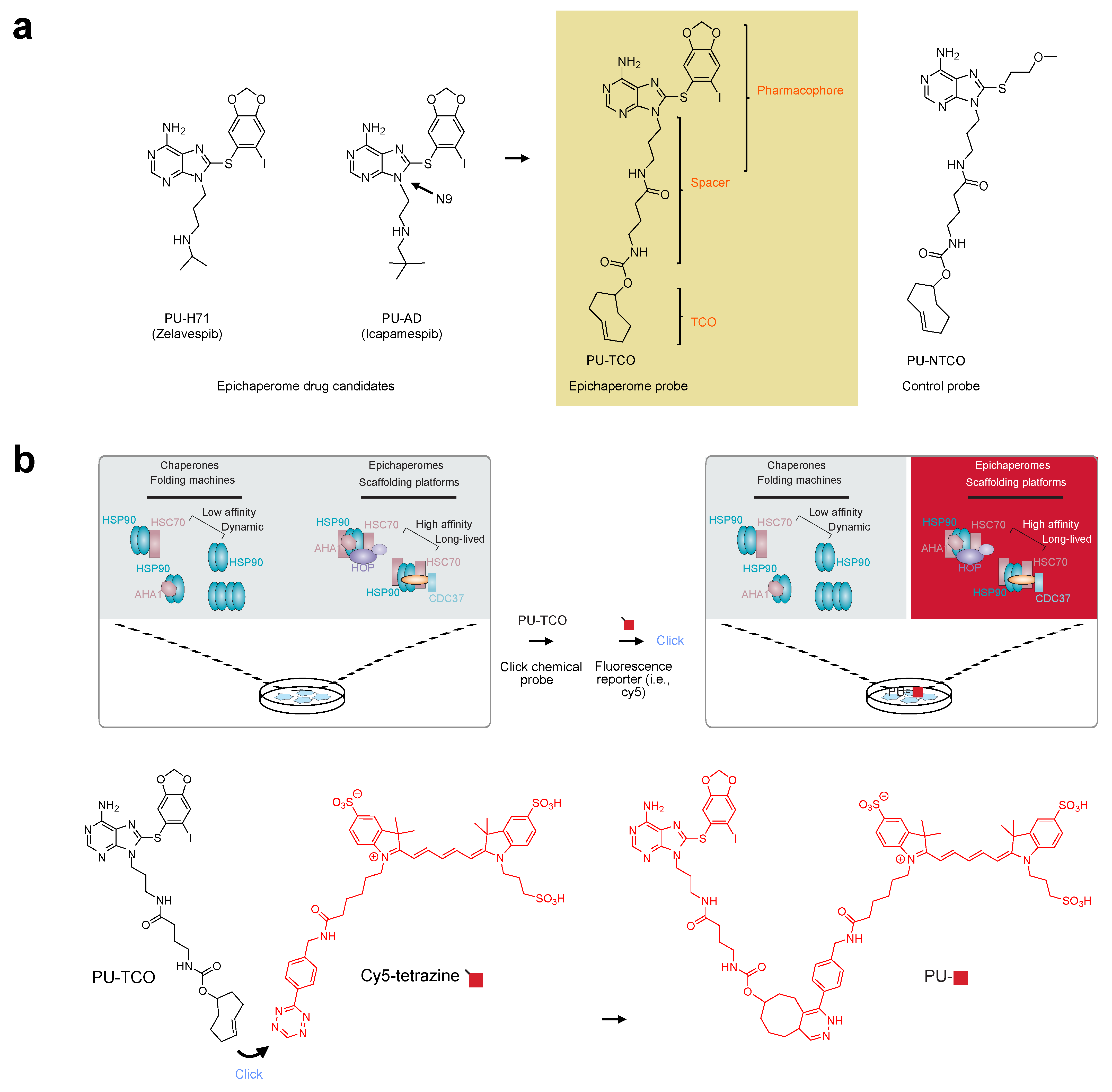 Biomedicines 12 01252 g001