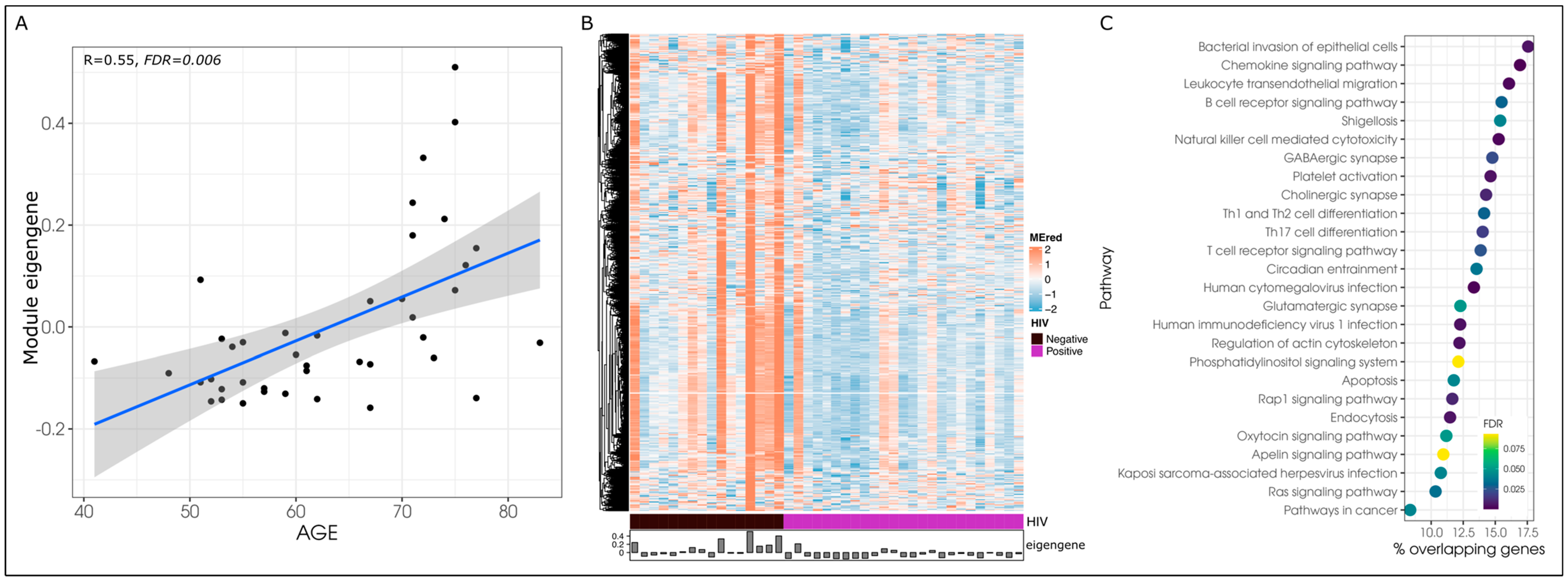 Biomedicines 12 01261 g002