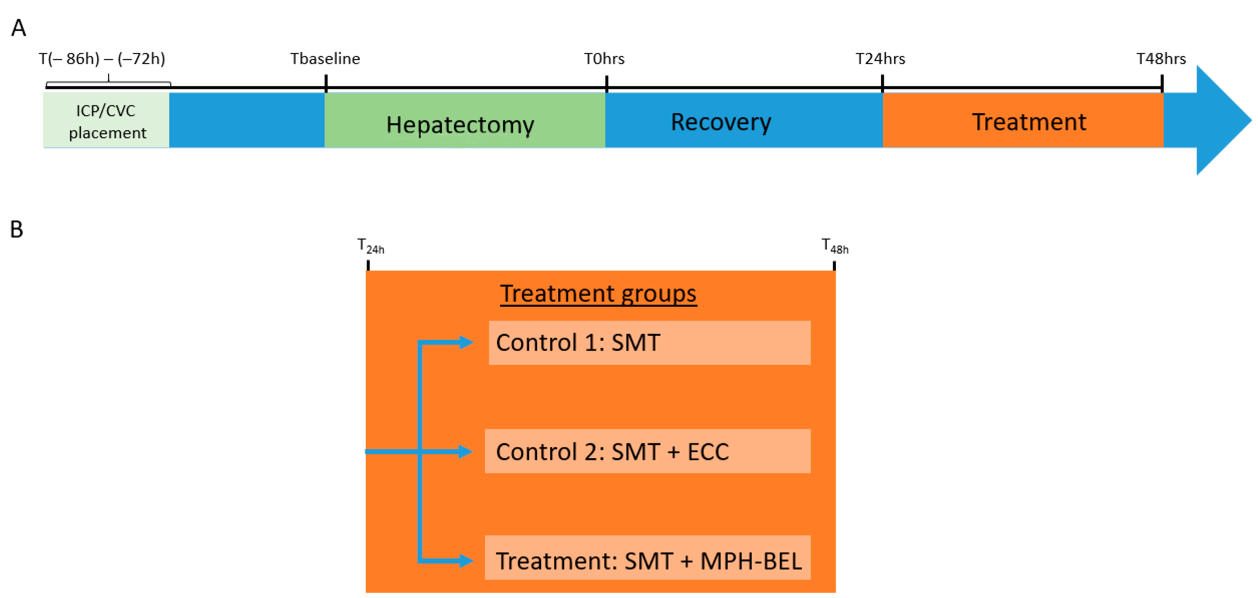 Biomedicines 12 01272 g002