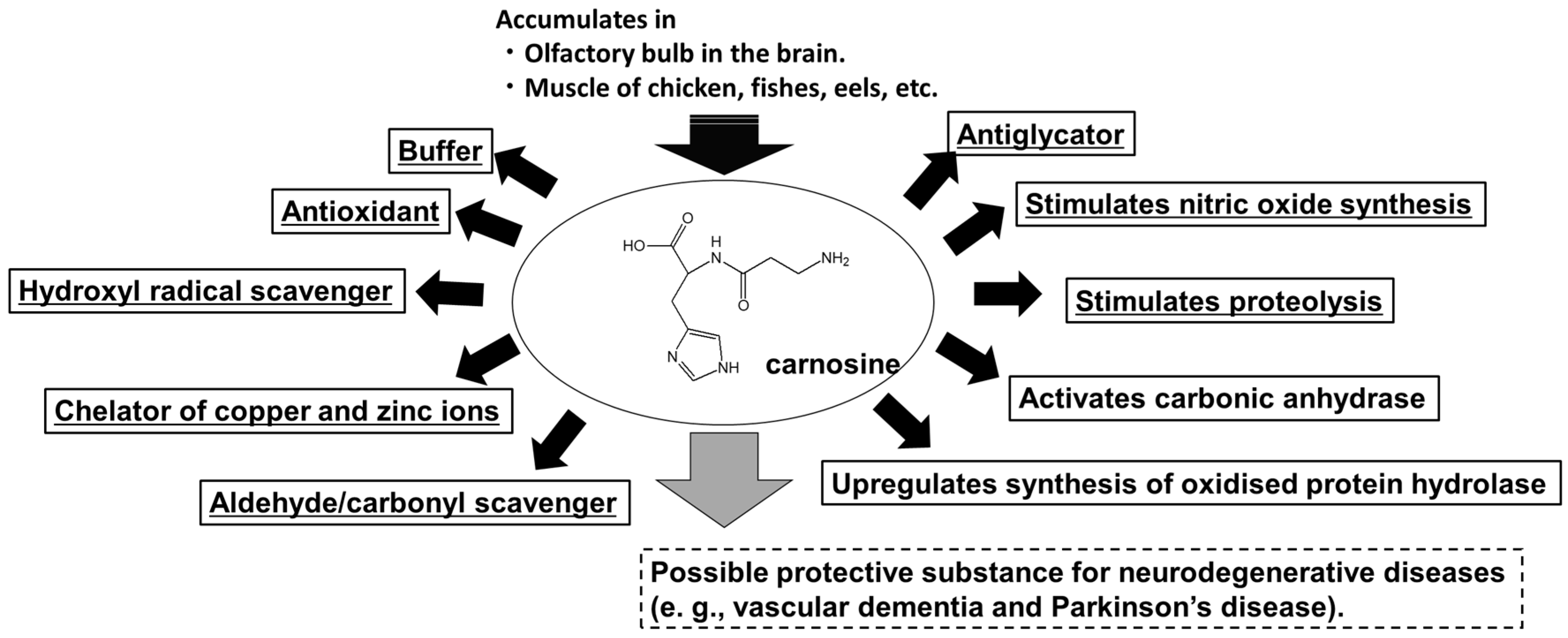 Biomedicines 12 01296 g001
