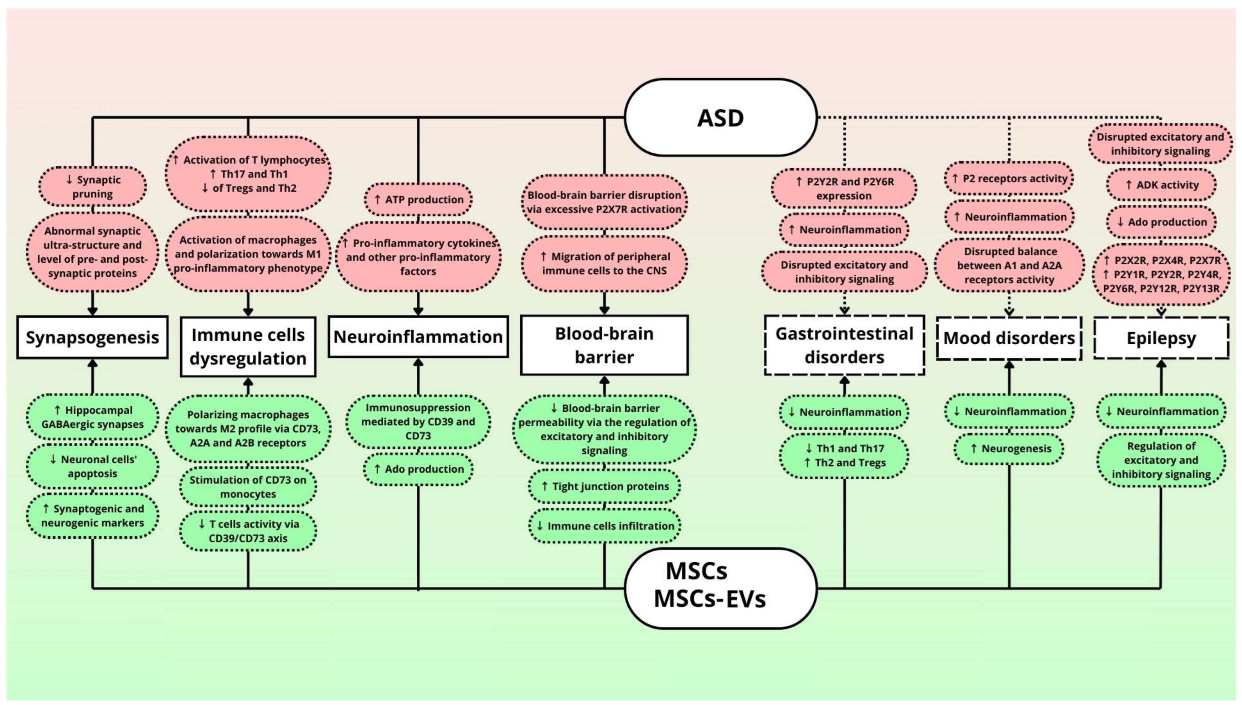 Biomedicines 12 01310 g002