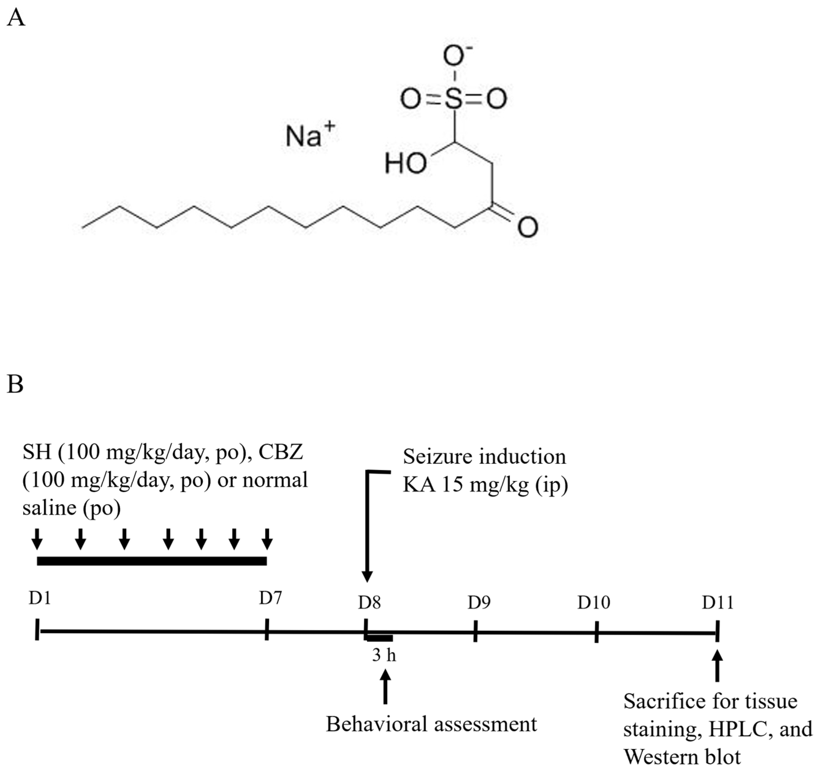 Biomedicines 12 01312 g001