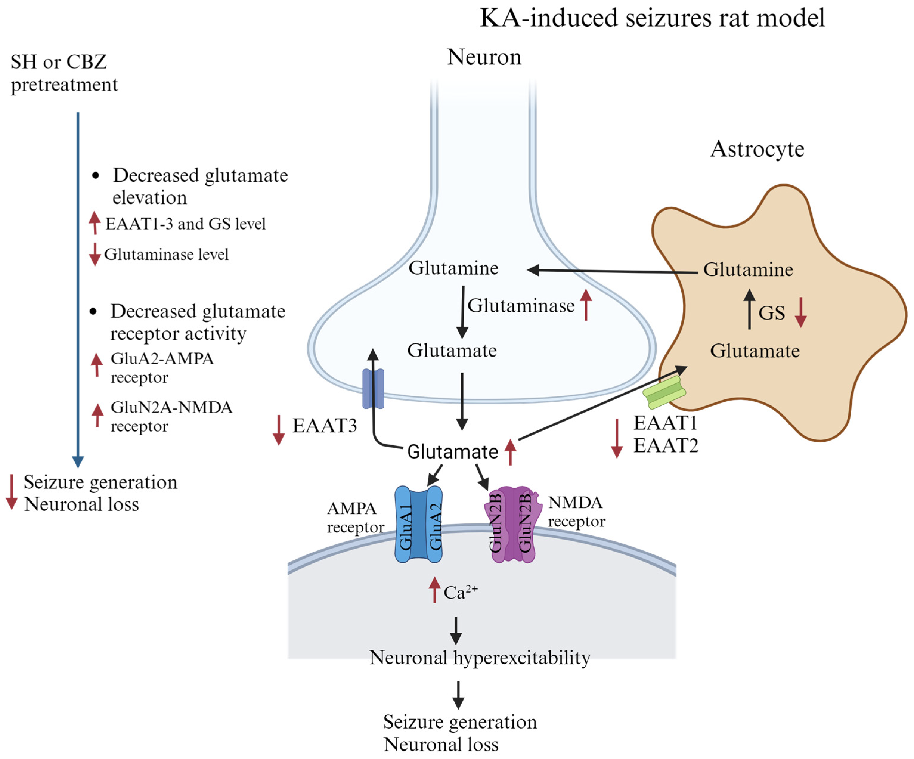 Biomedicines 12 01312 g007