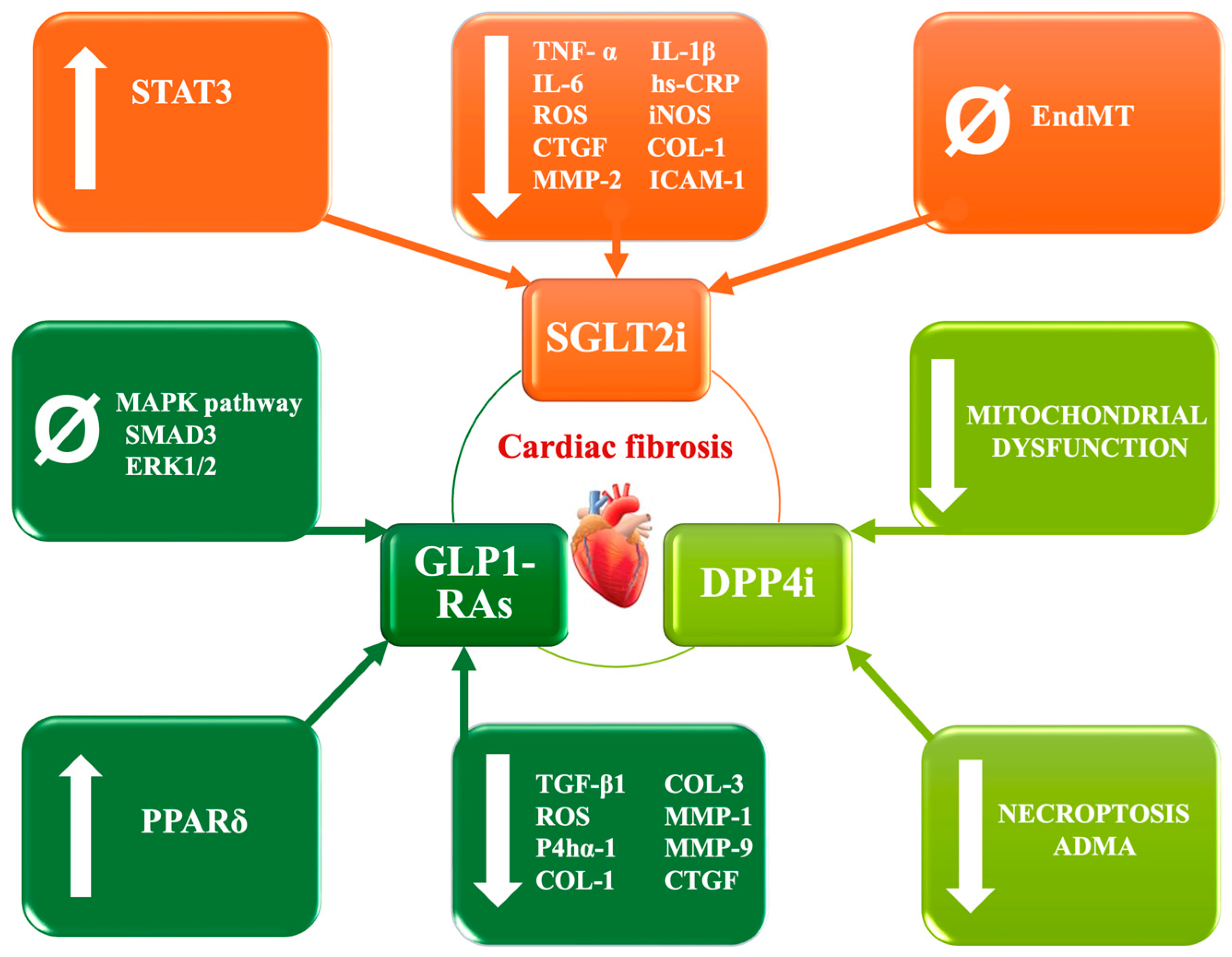Biomedicines 12 01314 g001
