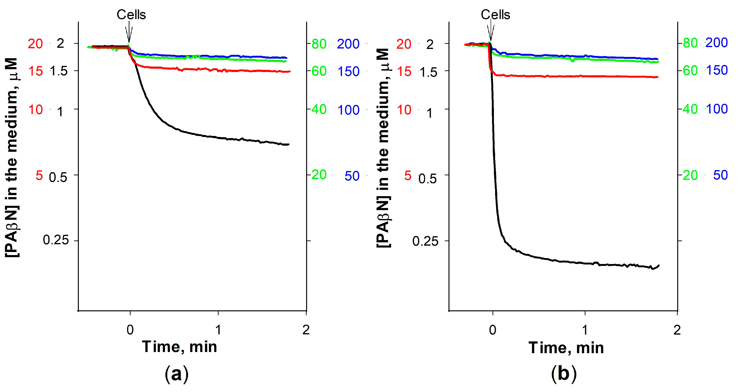 Biomedicines 12 01324 g004