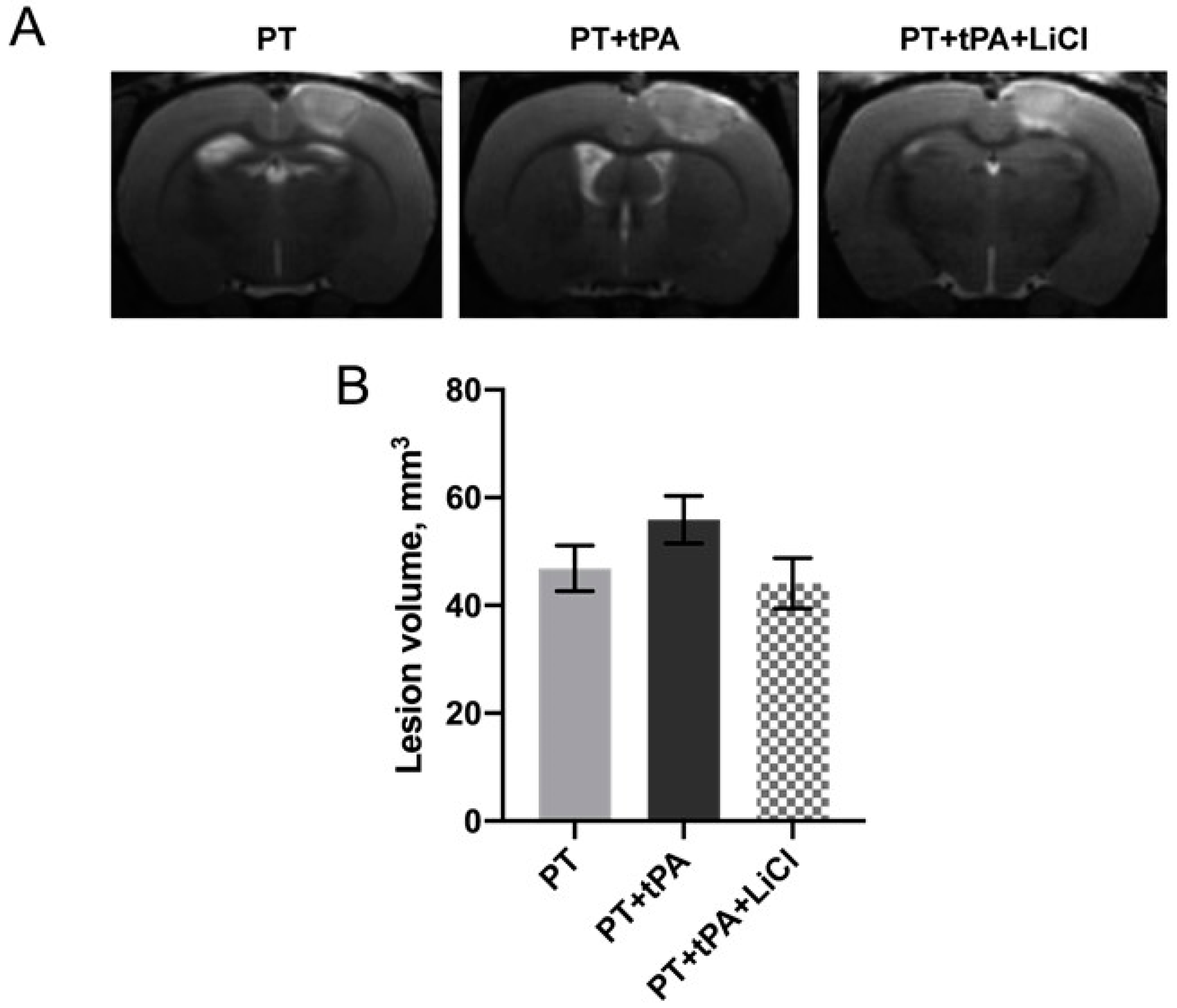 Biomedicines 12 01325 g001