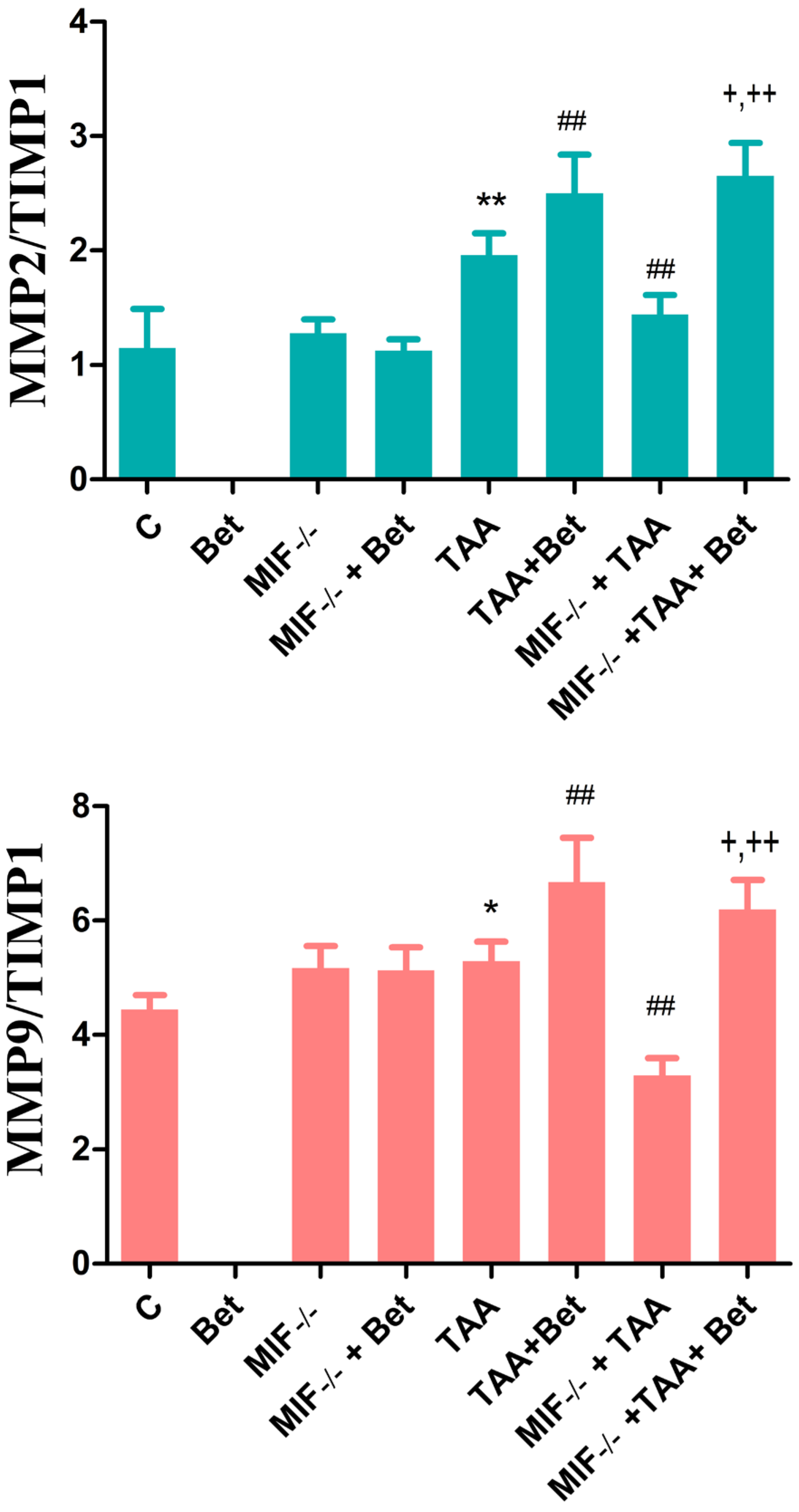 Biomedicines 12 01337 g003 Biomedicines 12 01337 g003