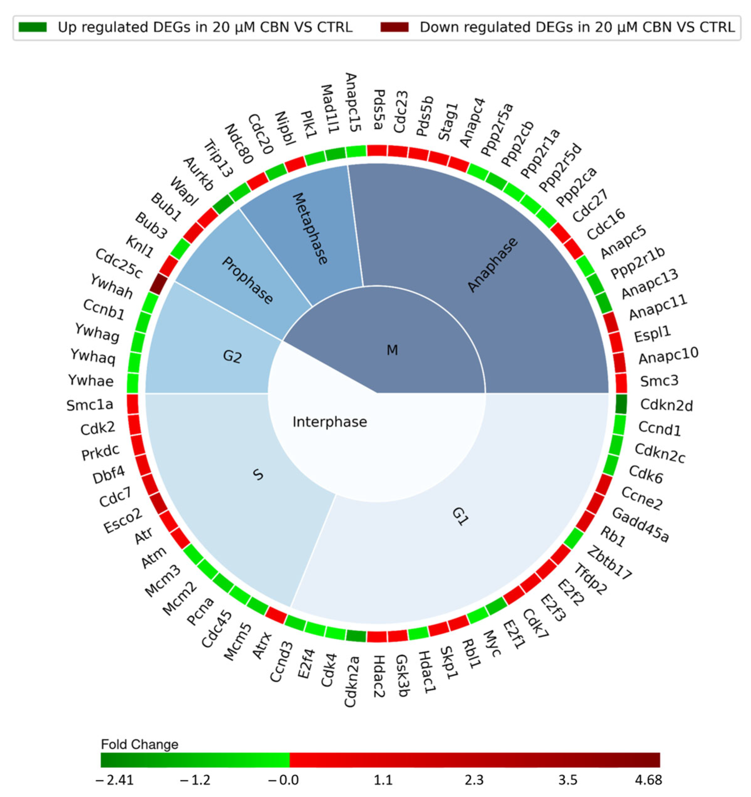 Biomedicines 12 01340 g005