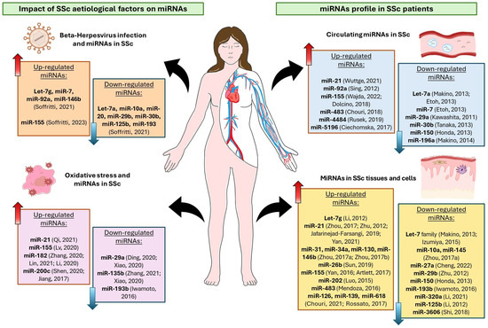 Biomedicines Free Full Text Virus Induced MicroRNA Modulation  