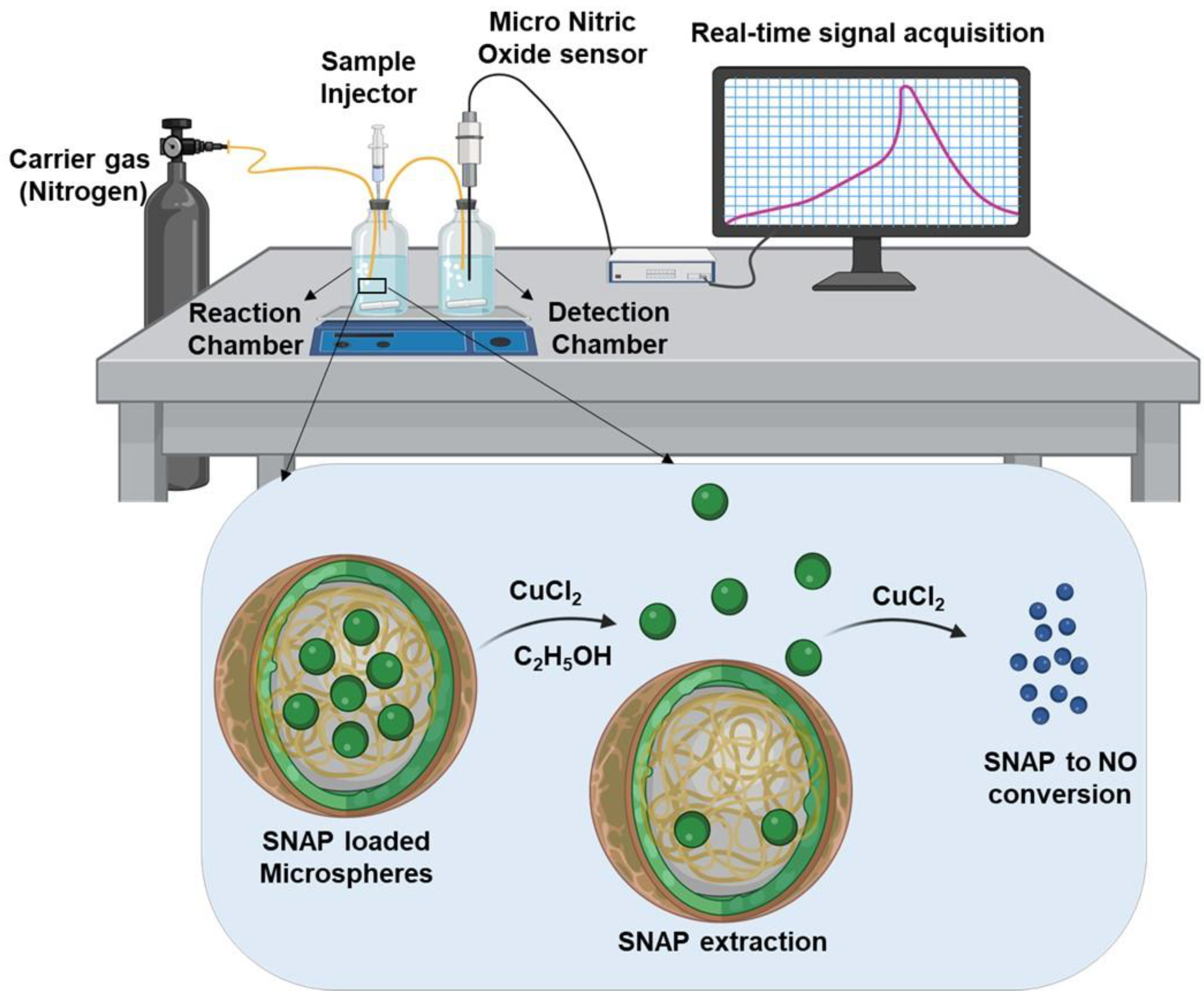 Biomedicines 12 01363 g001