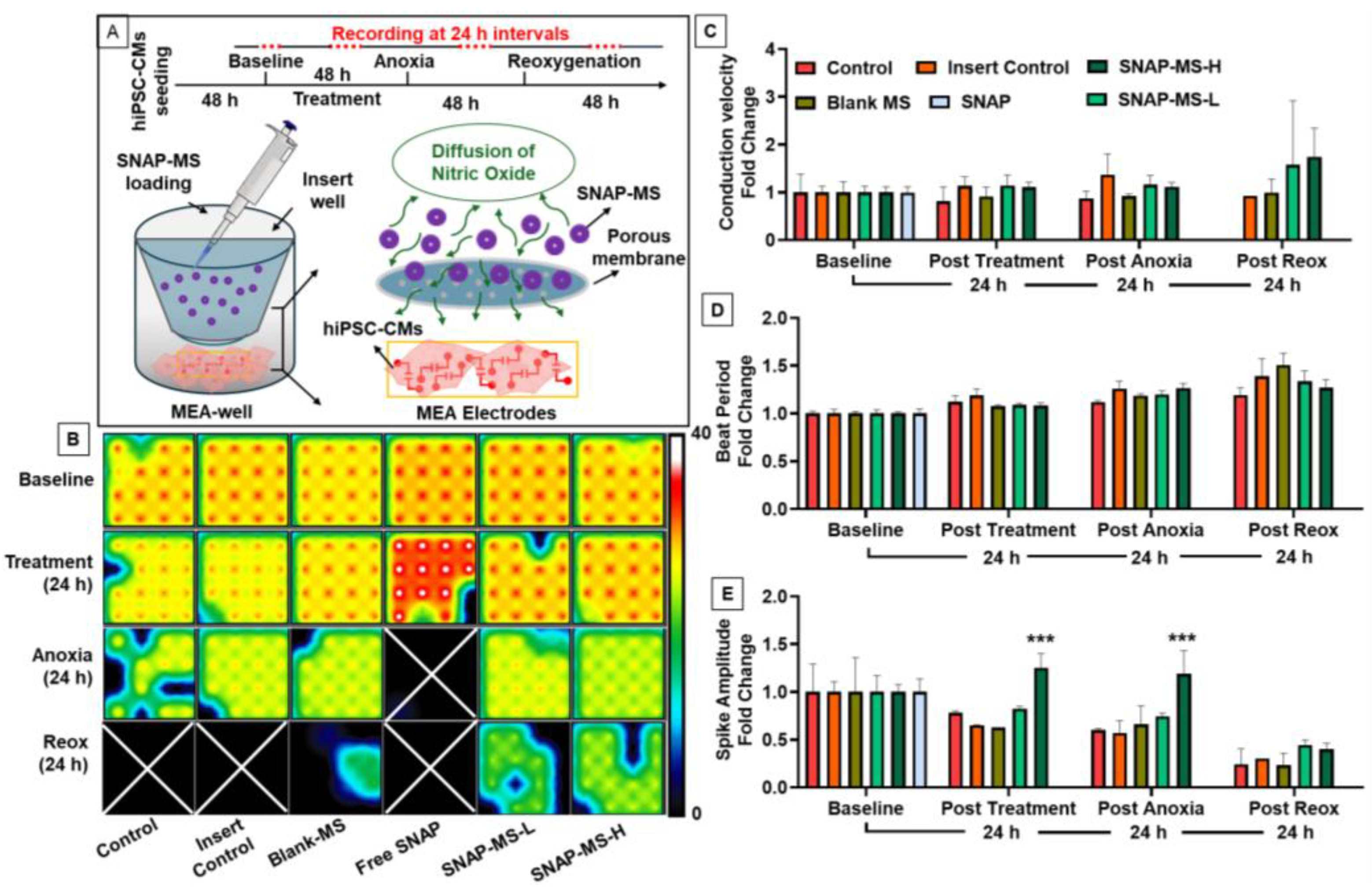 Biomedicines 12 01363 g006