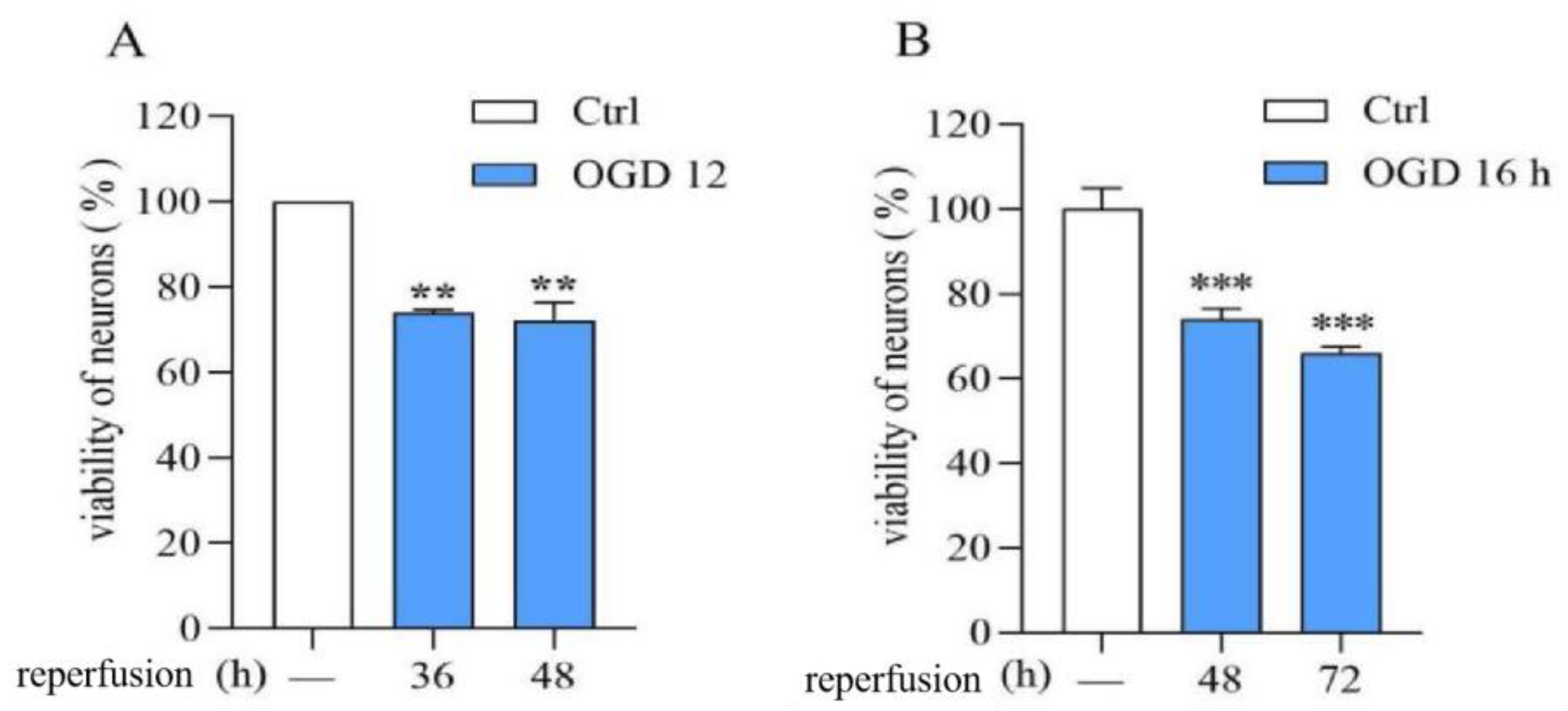 Biomedicines 12 01366 g001