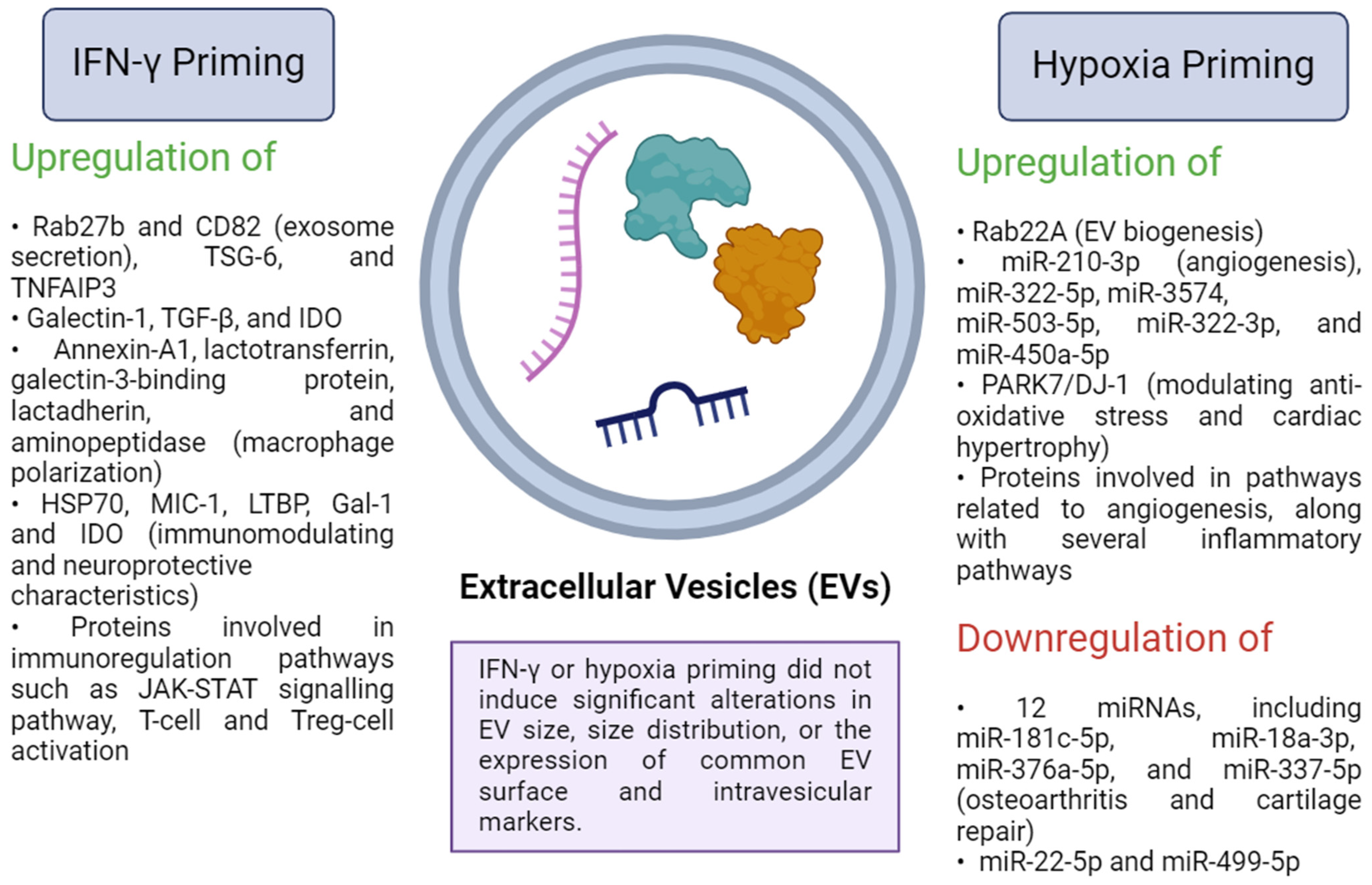 Biomedicines 12 01369 g001 Biomedicines 12 01369 g001