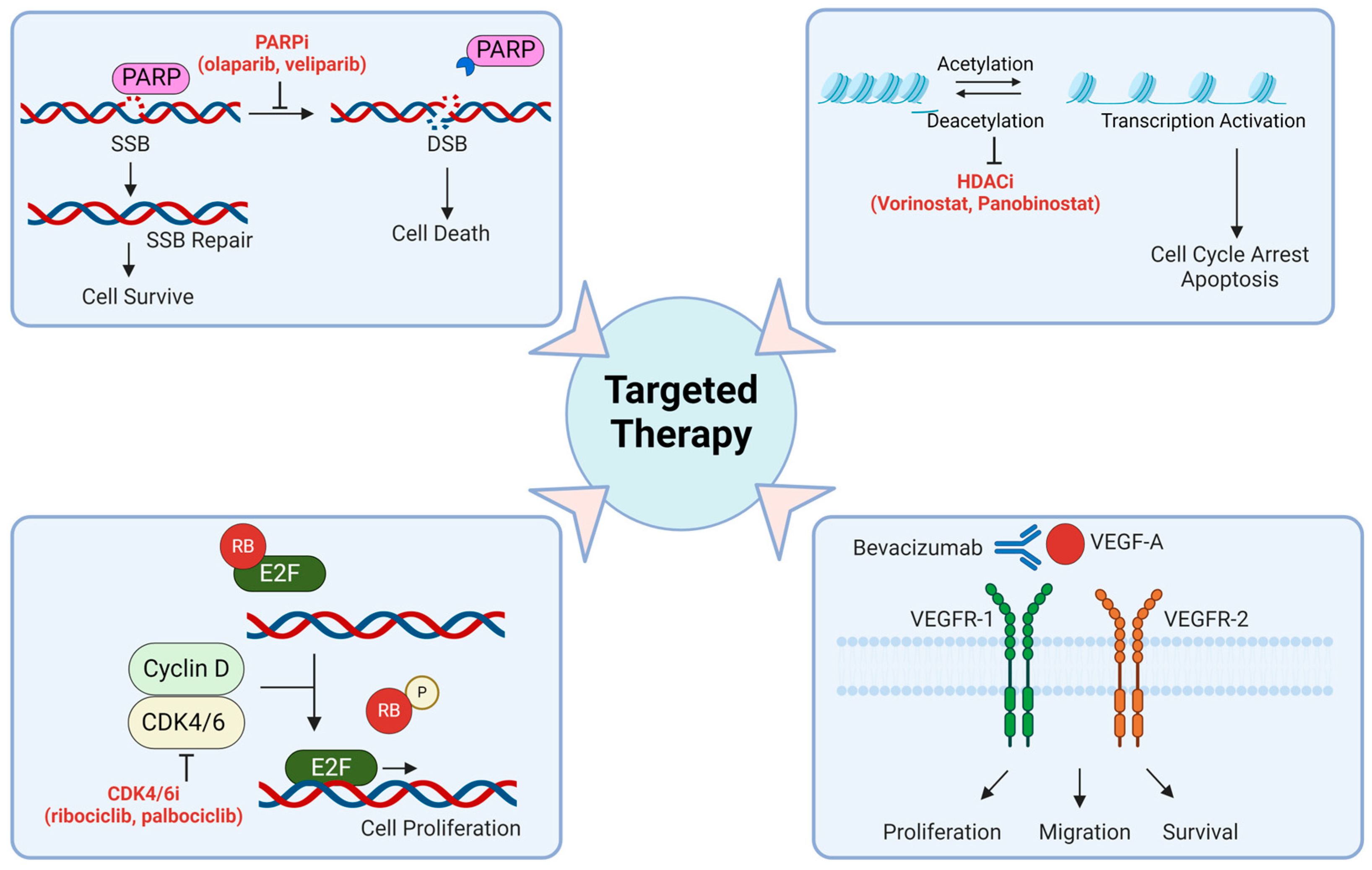 Biomedicines 12 01376 g002