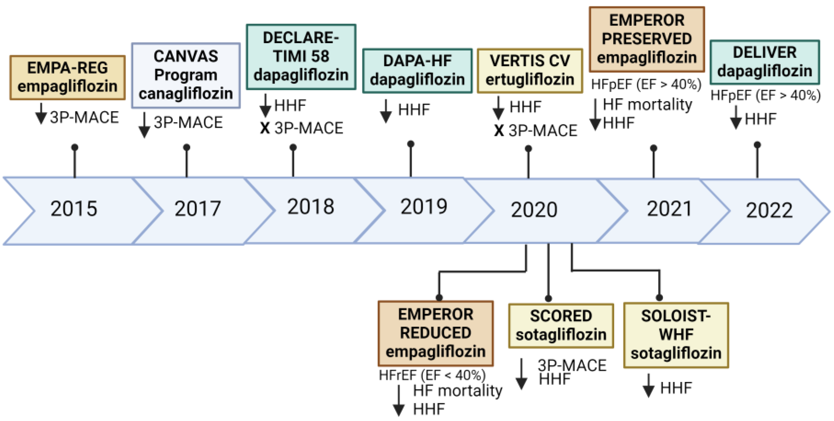 Biomedicines 12 01386 g001 Biomedicines 12 01386 g001