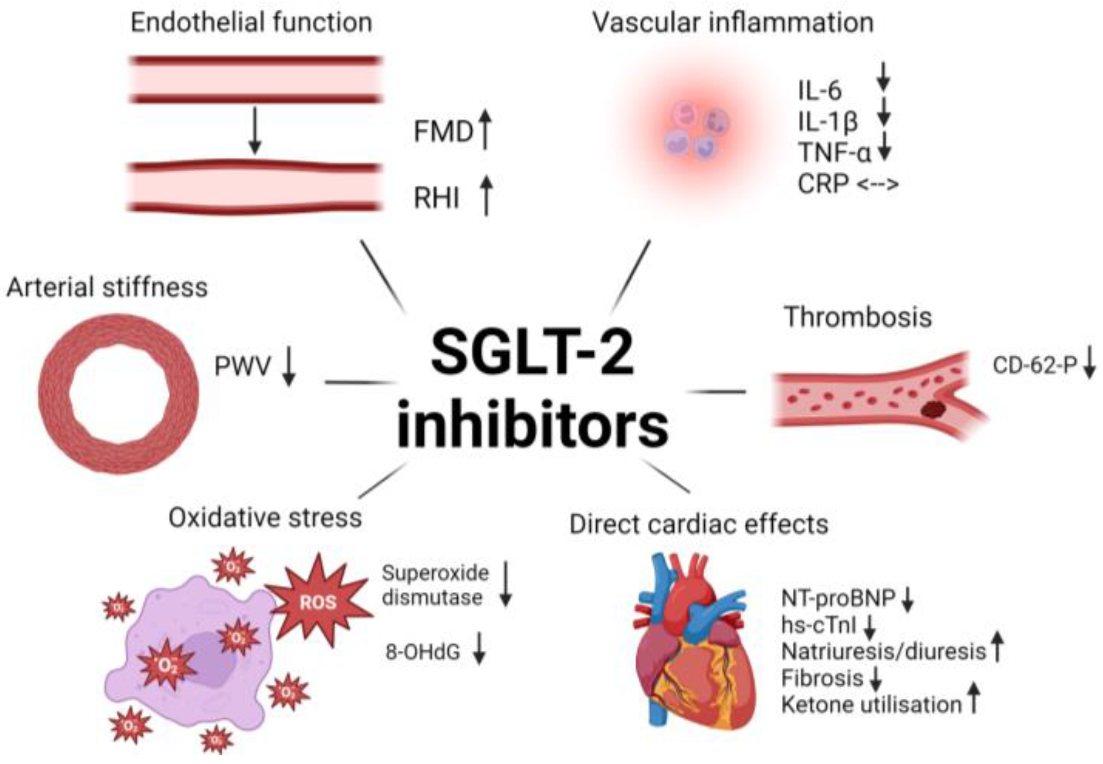 Biomedicines 12 01386 g002 Biomedicines 12 01386 g002