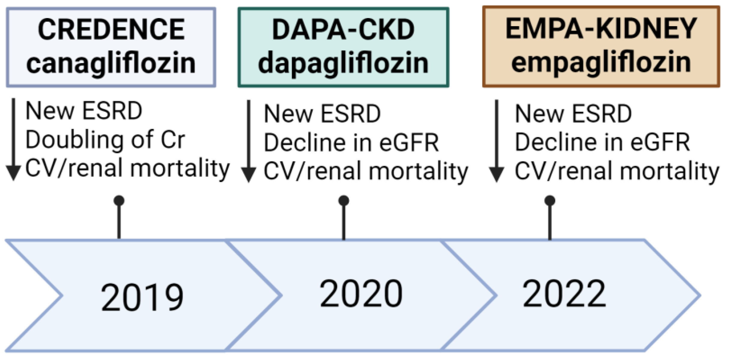 Biomedicines 12 01386 g003 Biomedicines 12 01386 g003