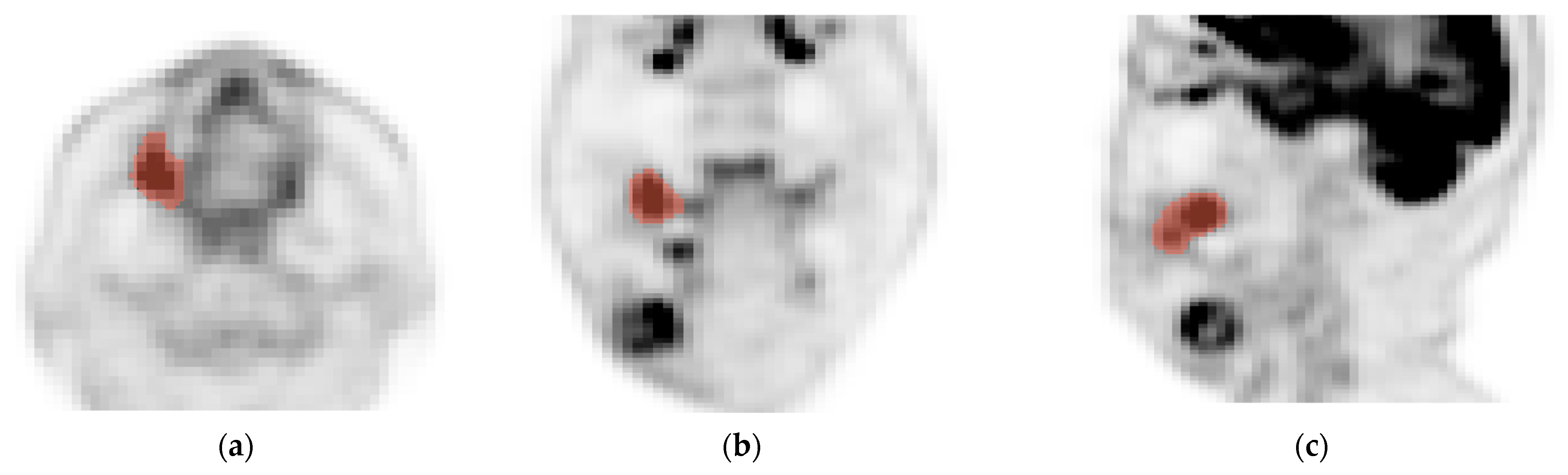 Biomedicines 12 01411 g001