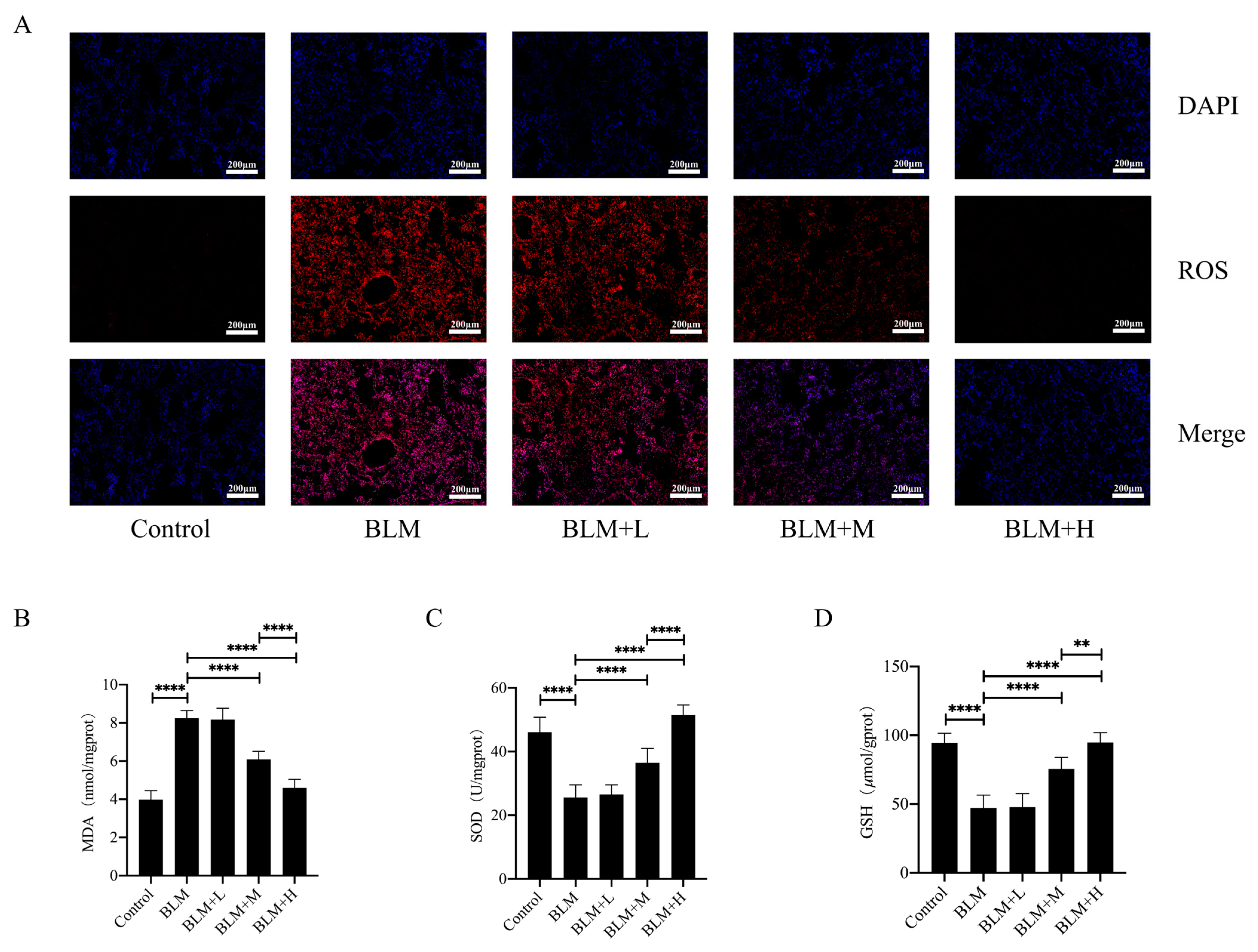 Biomedicines 12 01436 g002 Biomedicines 12 01436 g002