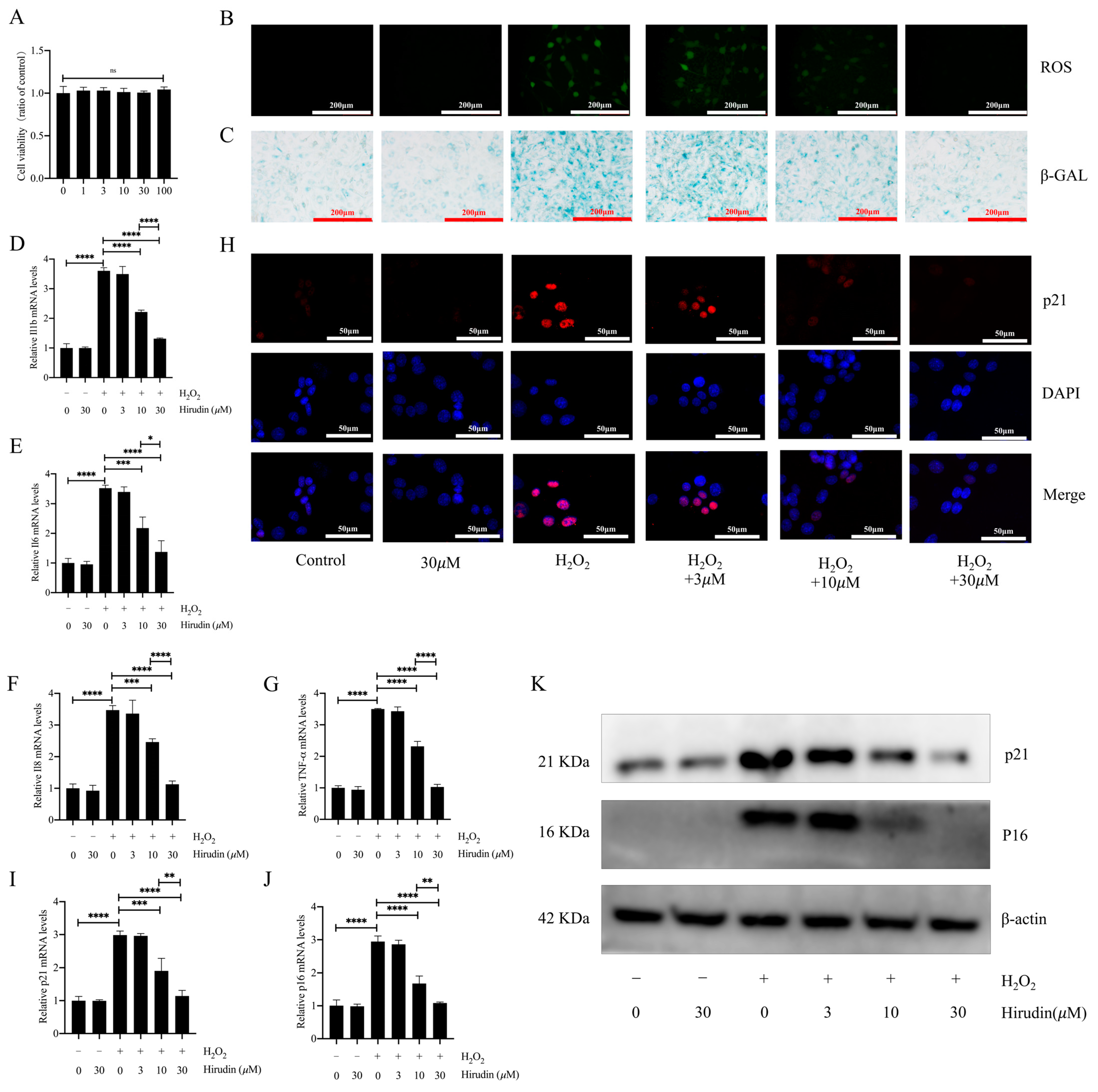 Biomedicines 12 01436 g004 Biomedicines 12 01436 g004