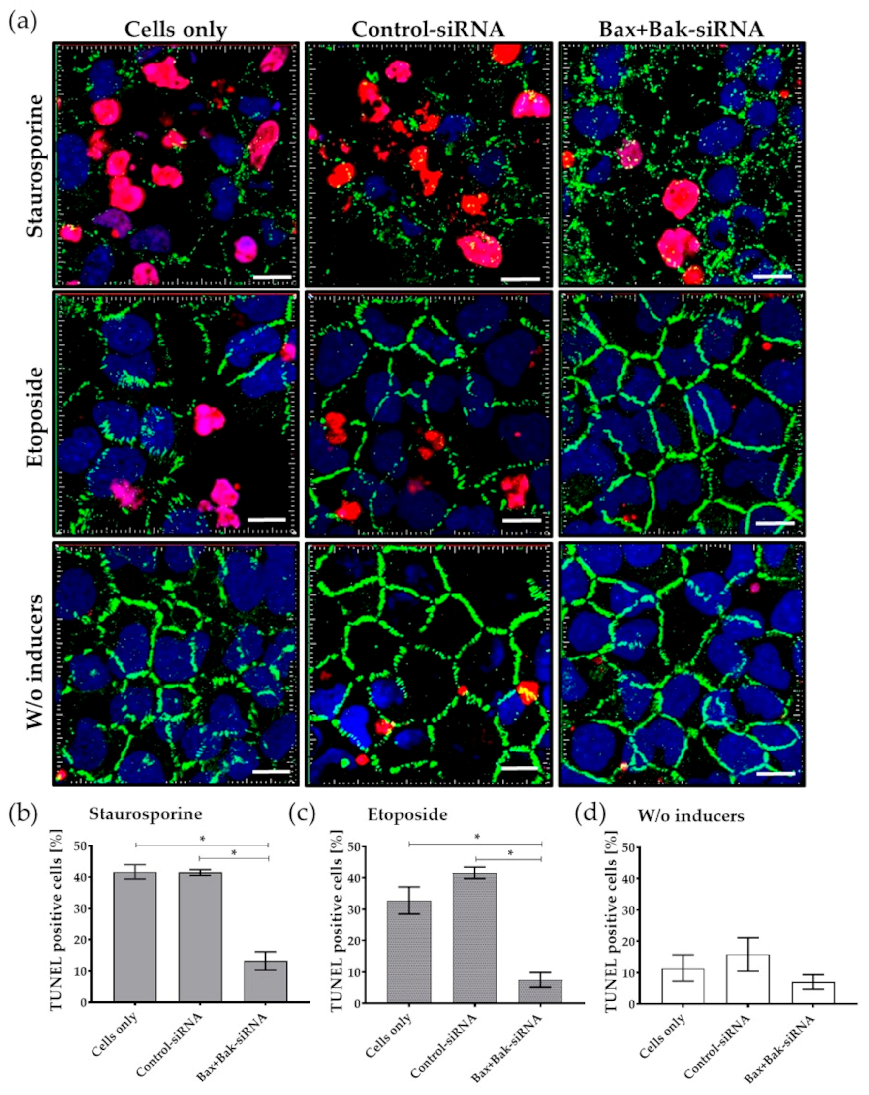 Biomedicines 12 01439 g006