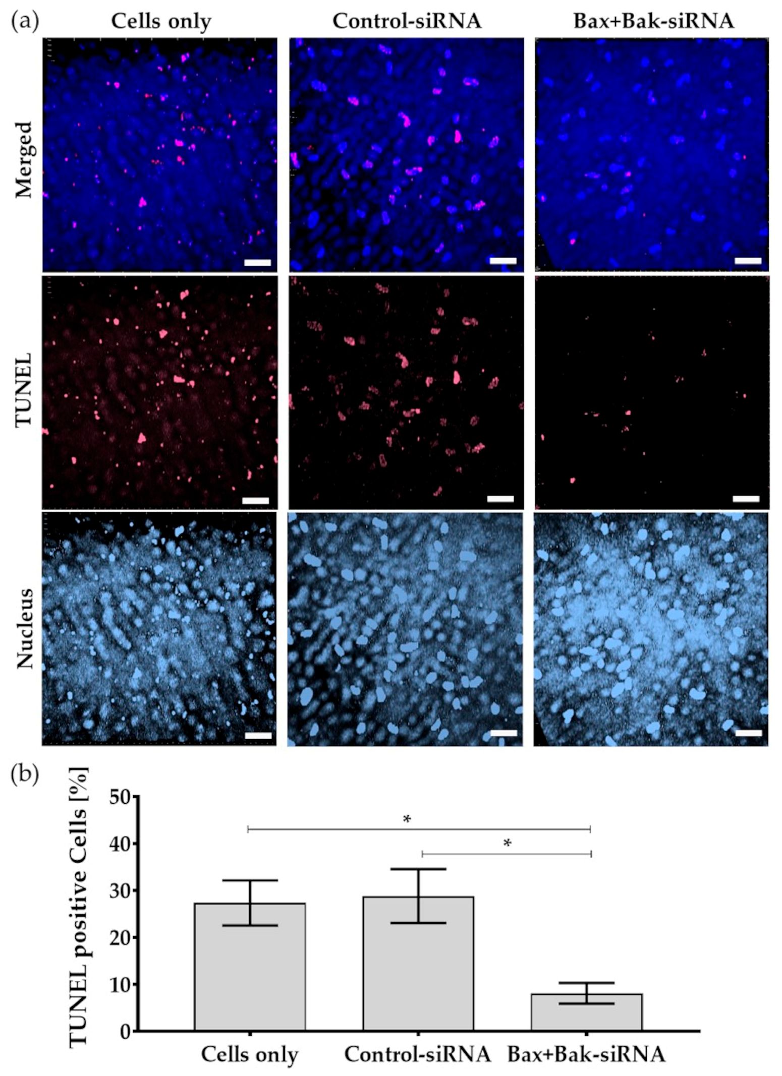Biomedicines 12 01439 g008