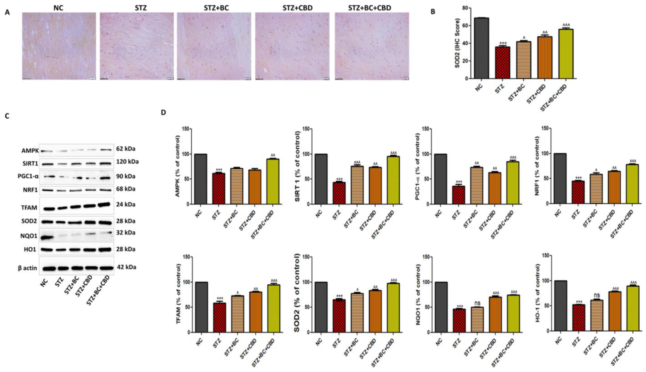 Biomedicines 12 01442 g009 Biomedicines 12 01442 g009