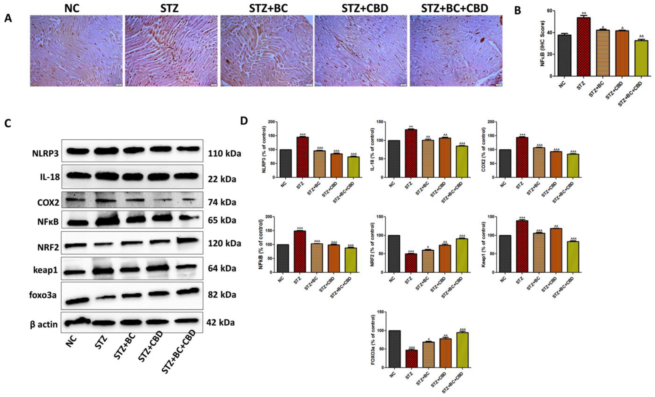 Biomedicines 12 01442 g010 Biomedicines 12 01442 g010