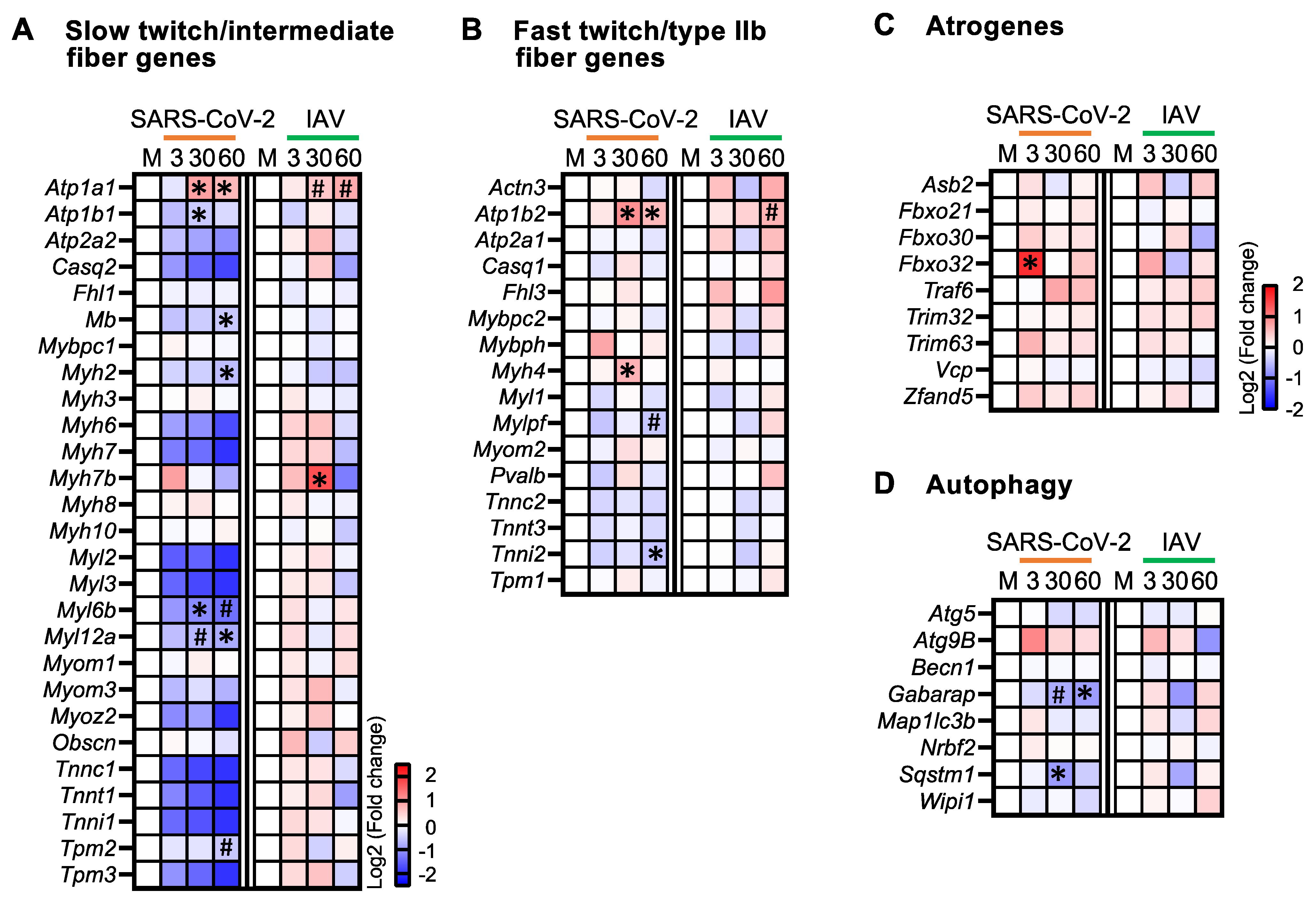 Biomedicines 12 01443 g003