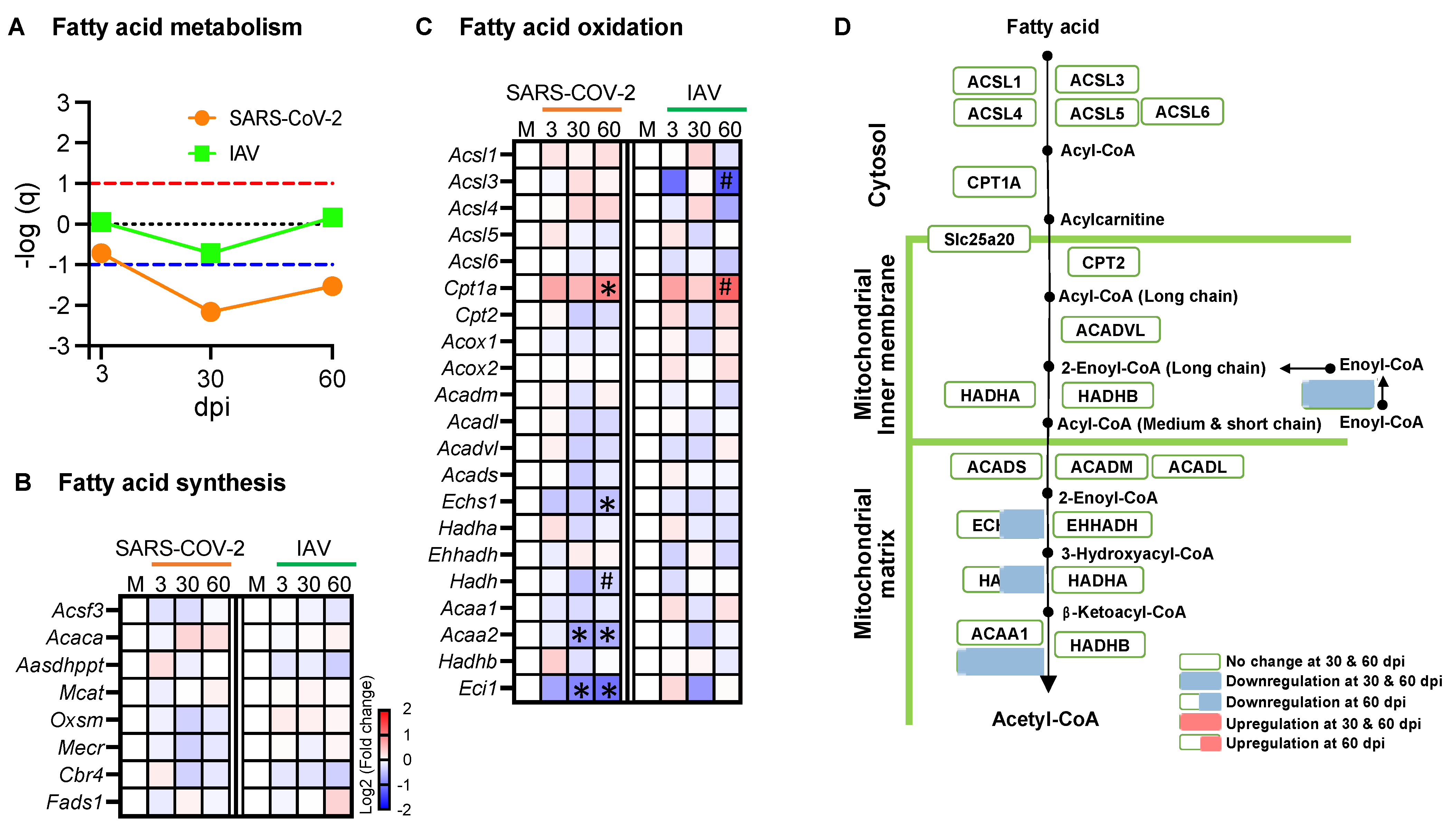 Biomedicines 12 01443 g006