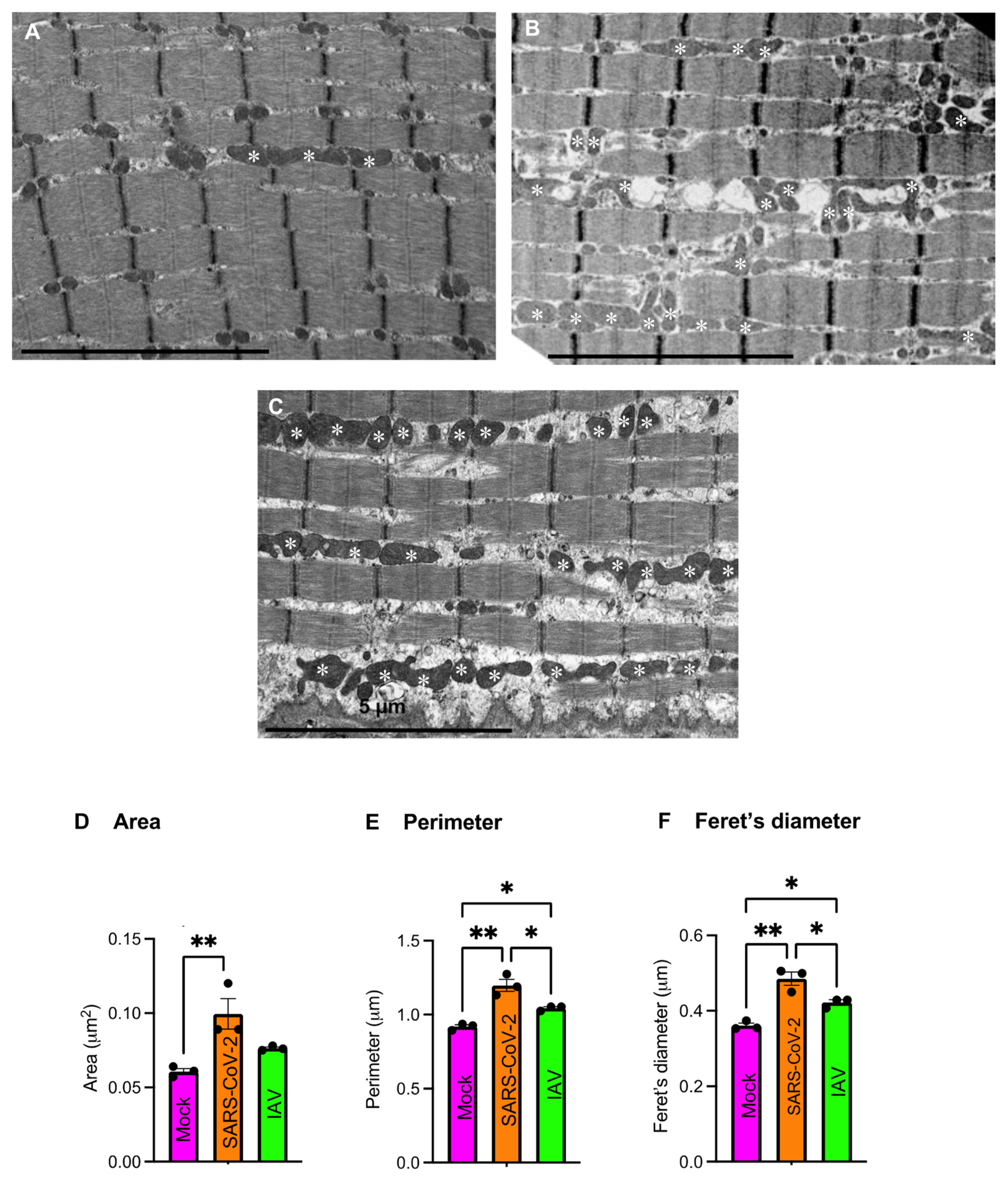 Biomedicines 12 01443 g008