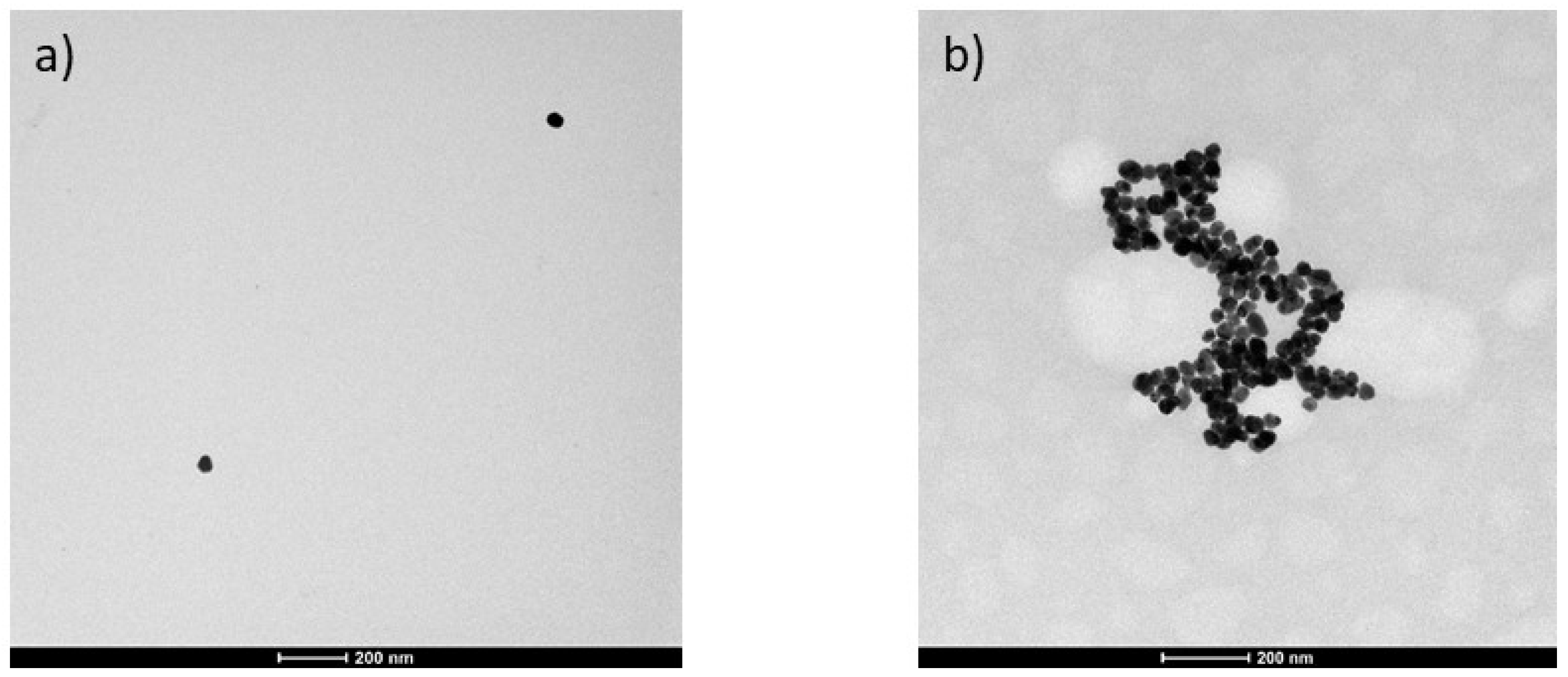 Biomedicines 12 01447 g002