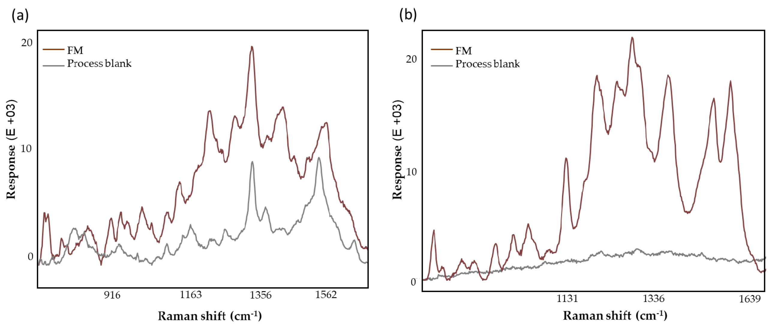 Biomedicines 12 01447 g003