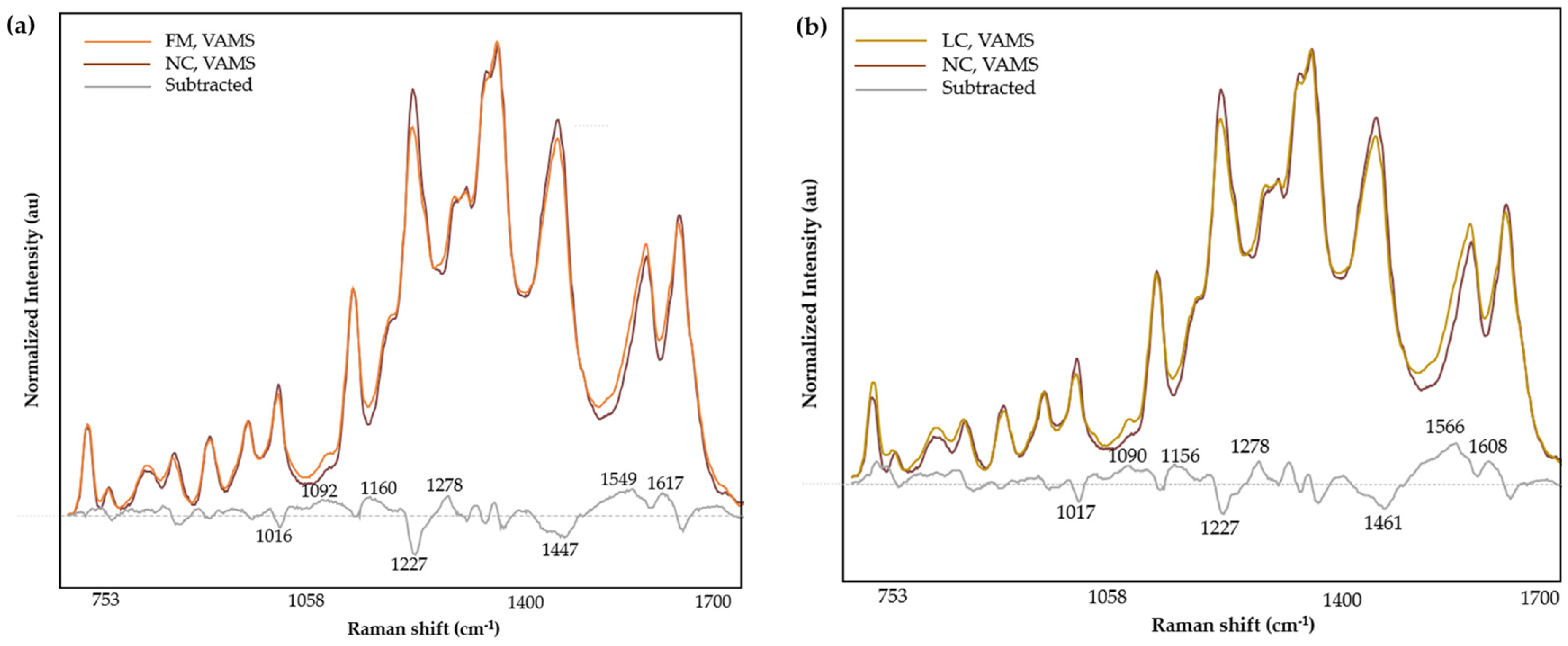 Biomedicines 12 01447 g005
