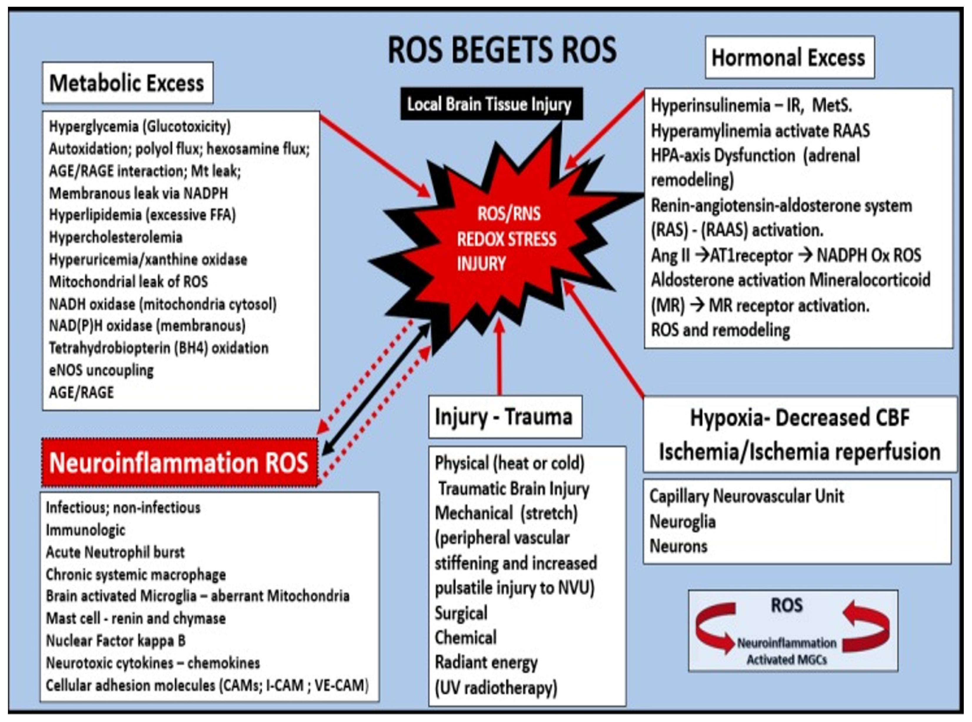 Biomedicines 12 01463 g013