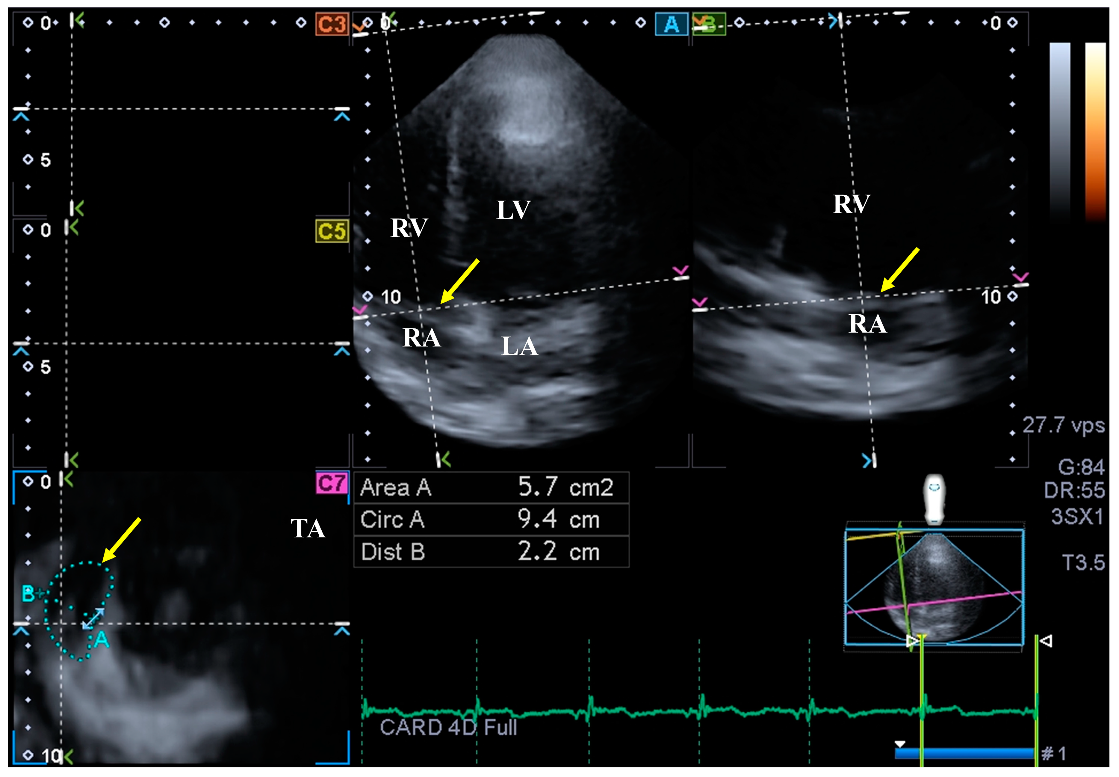 Biomedicines 12 01464 g003