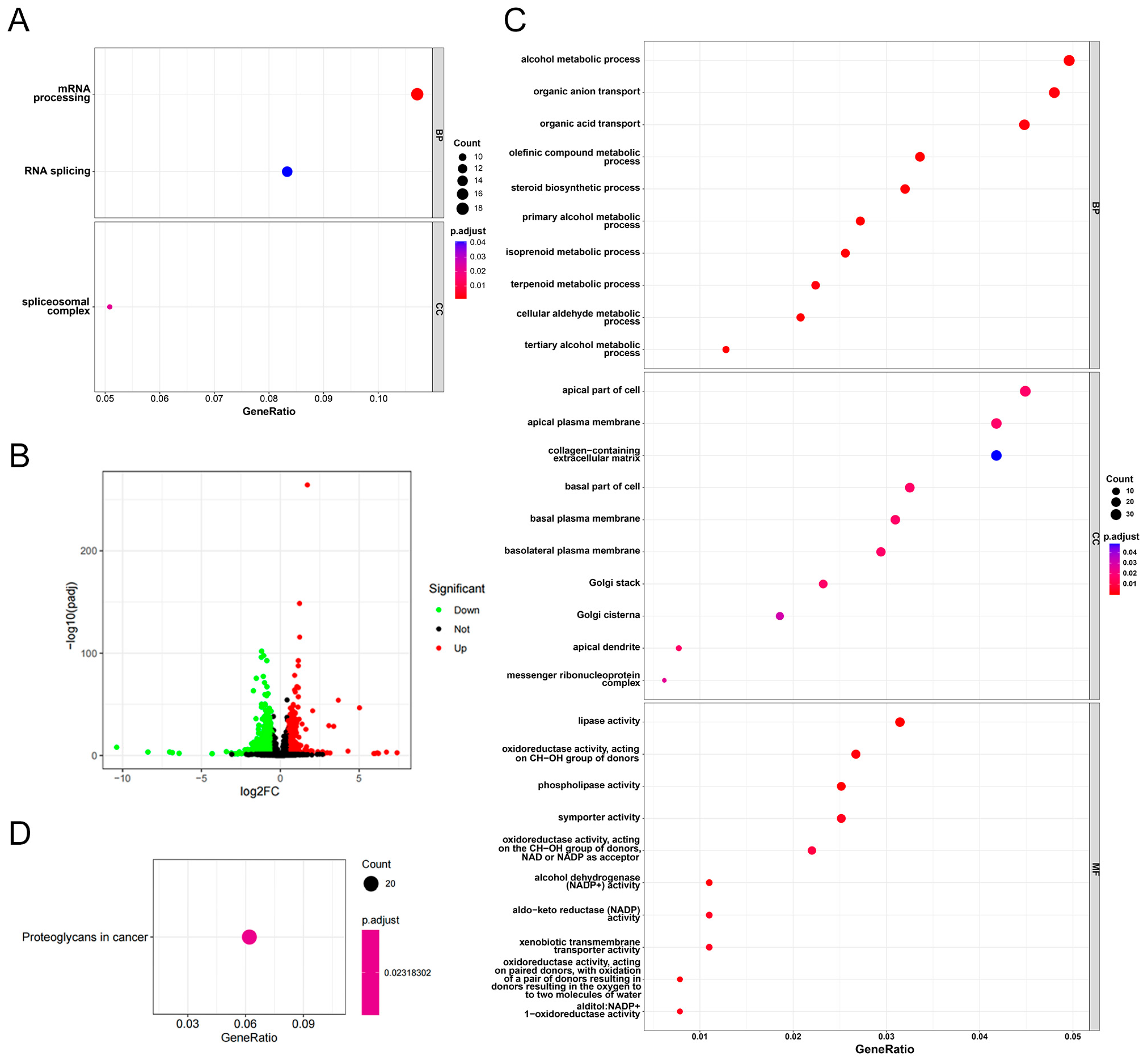 Biomedicines 12 01468 g005
