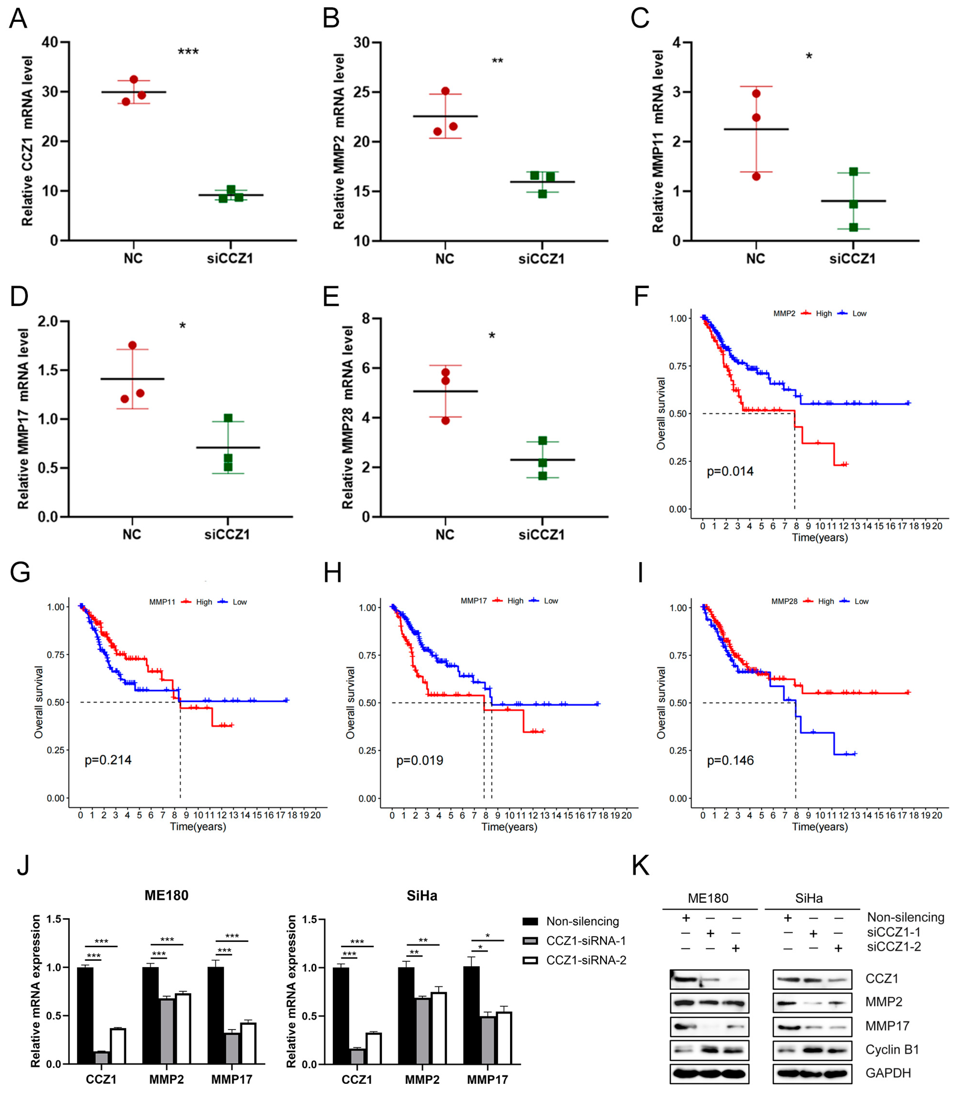 Biomedicines 12 01468 g006