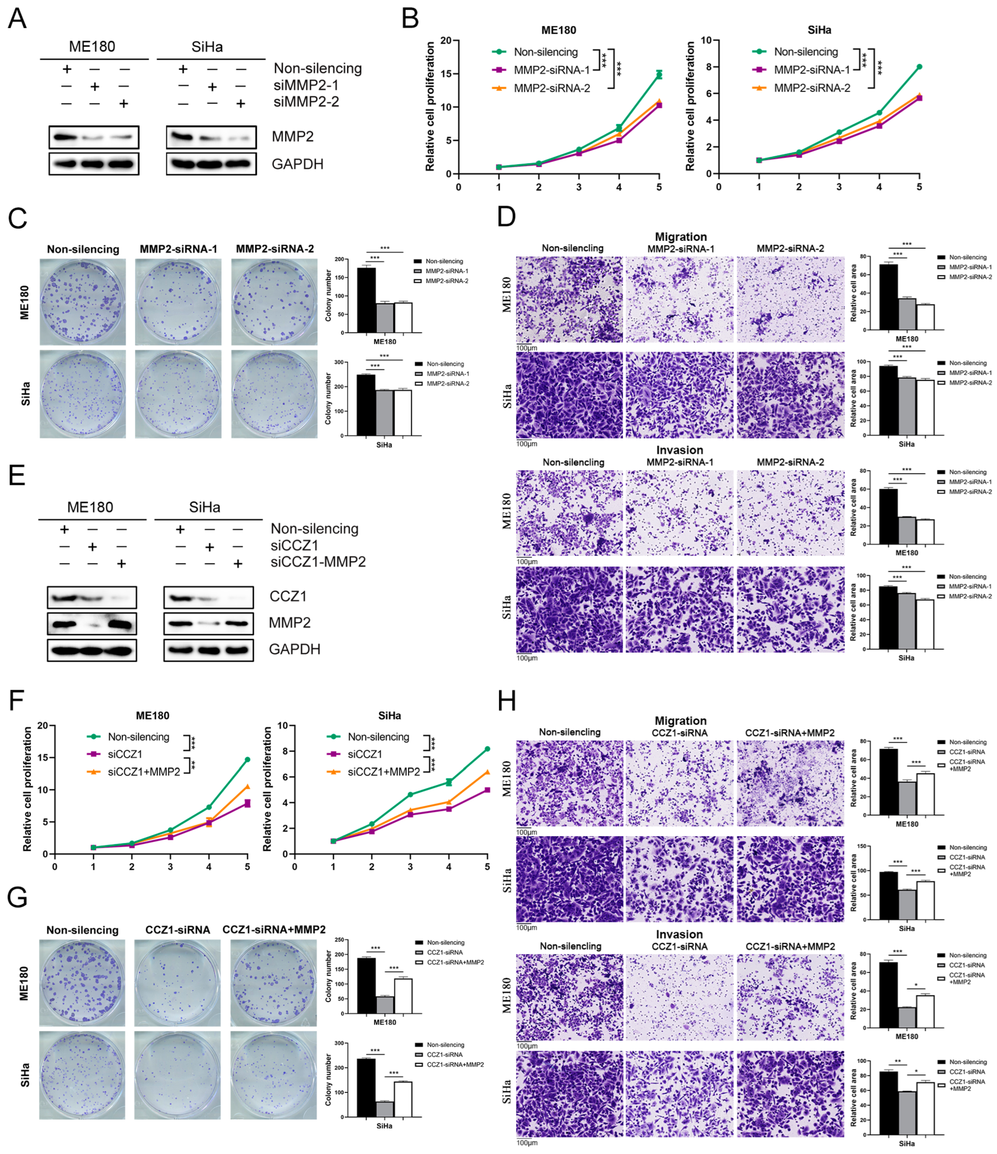 Biomedicines 12 01468 g007